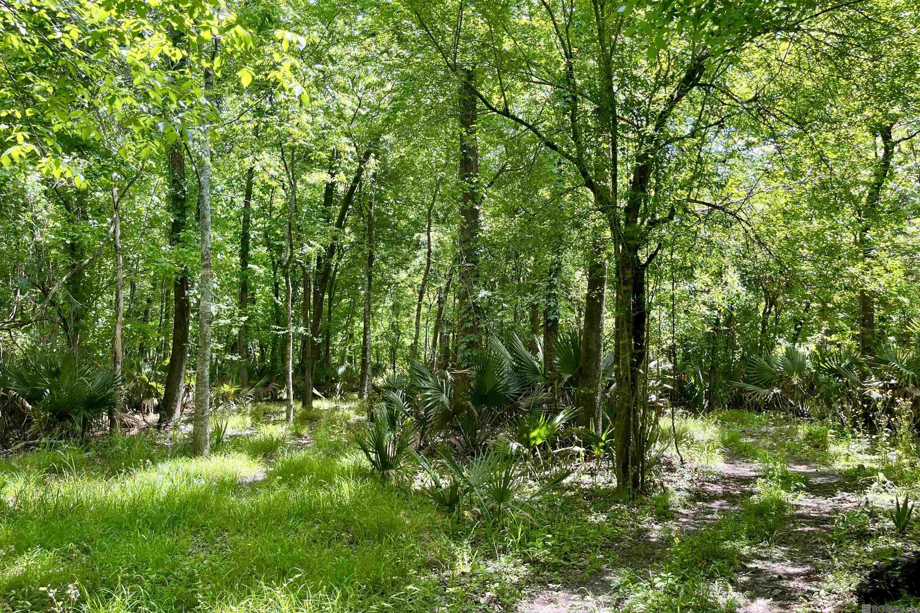 05 La Hwy 74, St Gabriel, LA, 70776