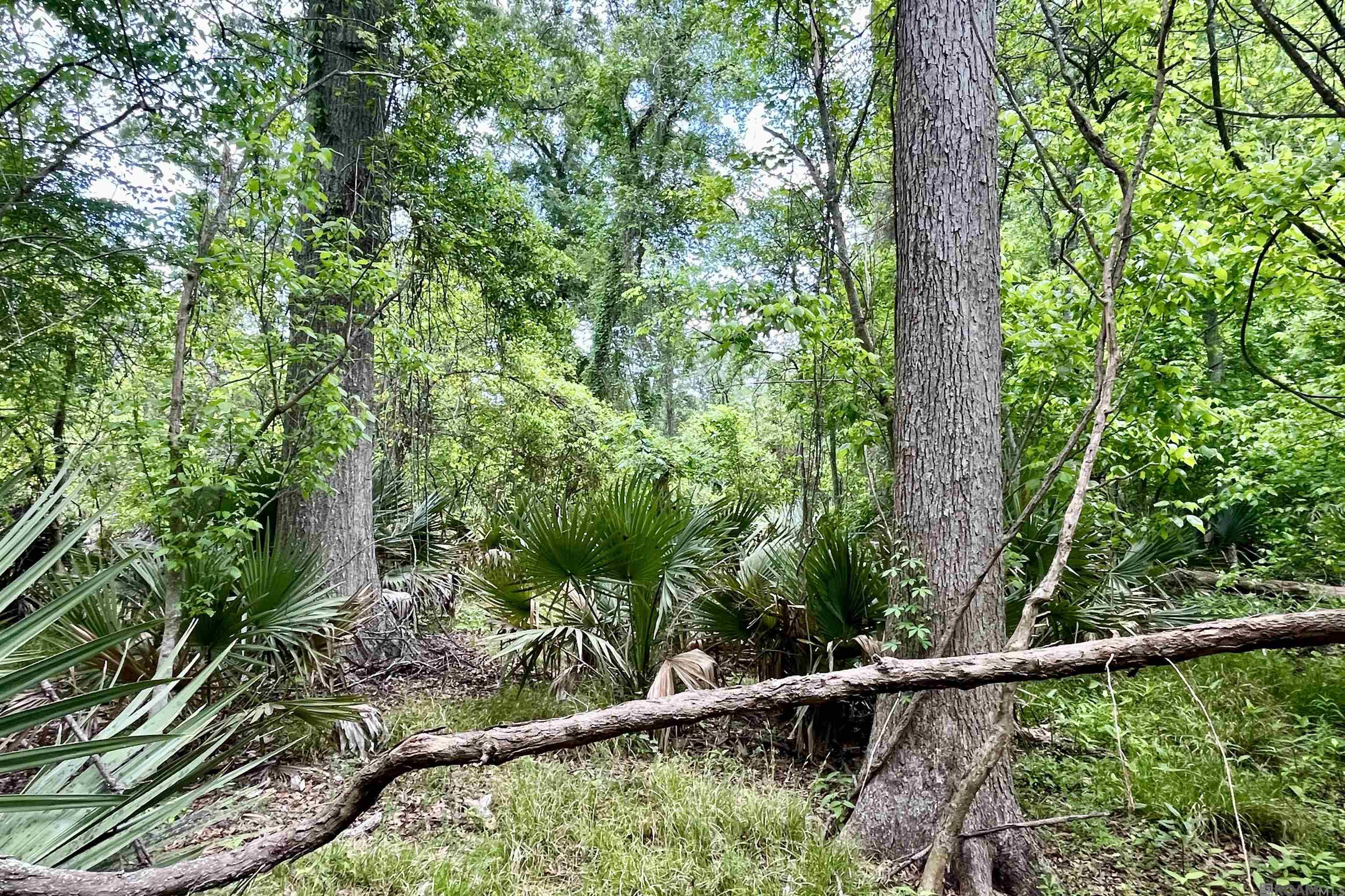 05 La Hwy 74, St Gabriel, LA, 70776