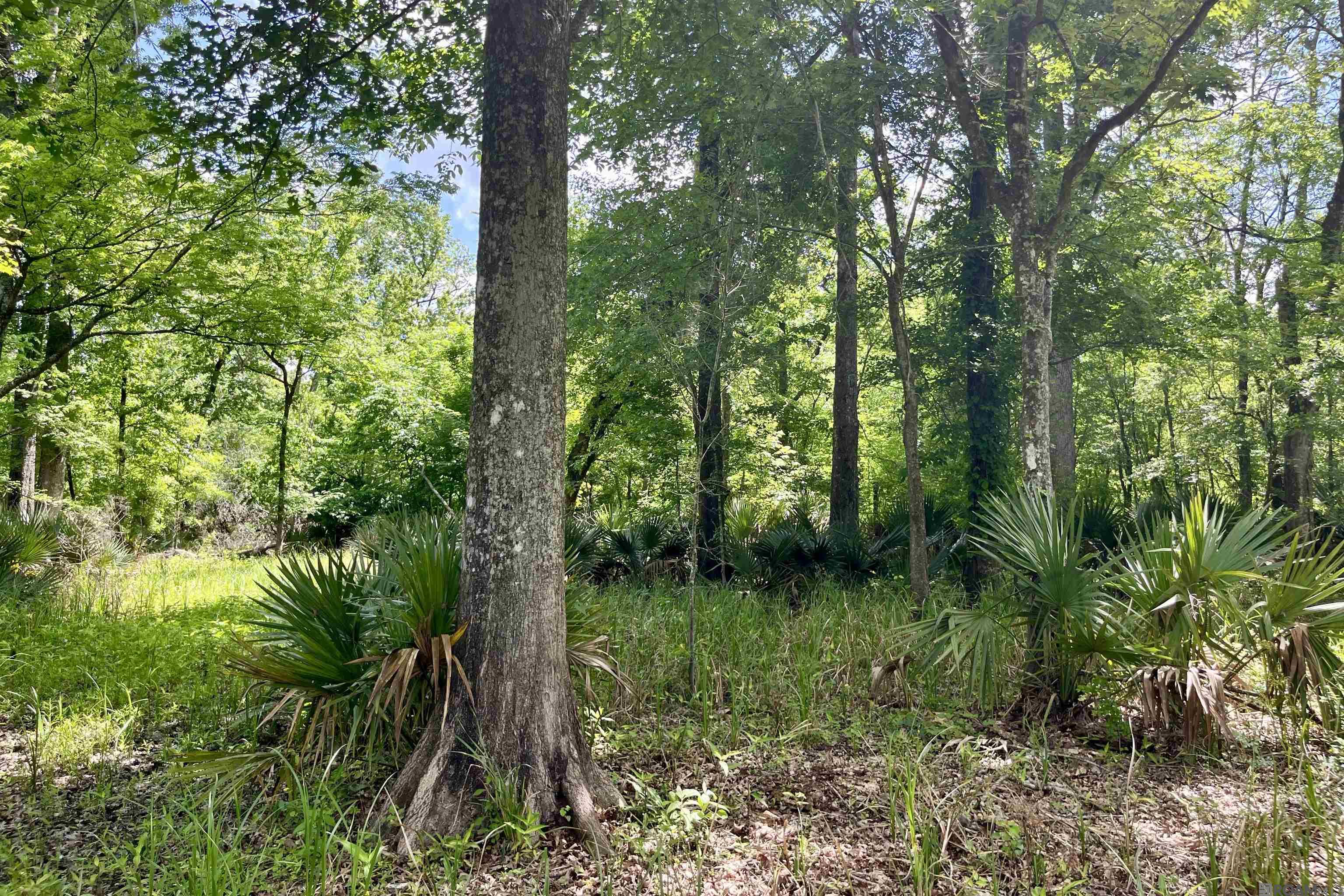 05 La Hwy 74, St Gabriel, LA, 70776