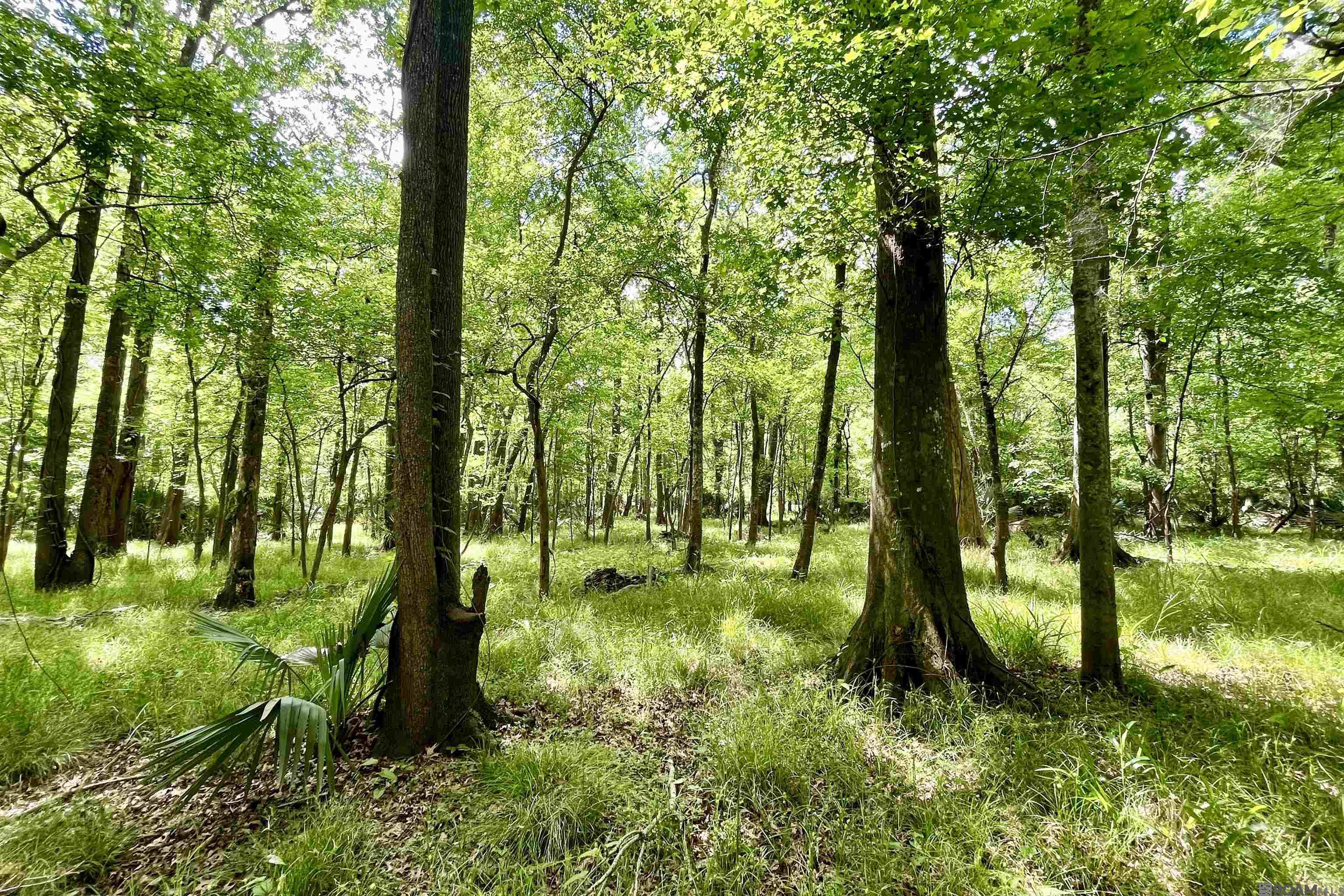 05 La Hwy 74, St Gabriel, LA, 70776