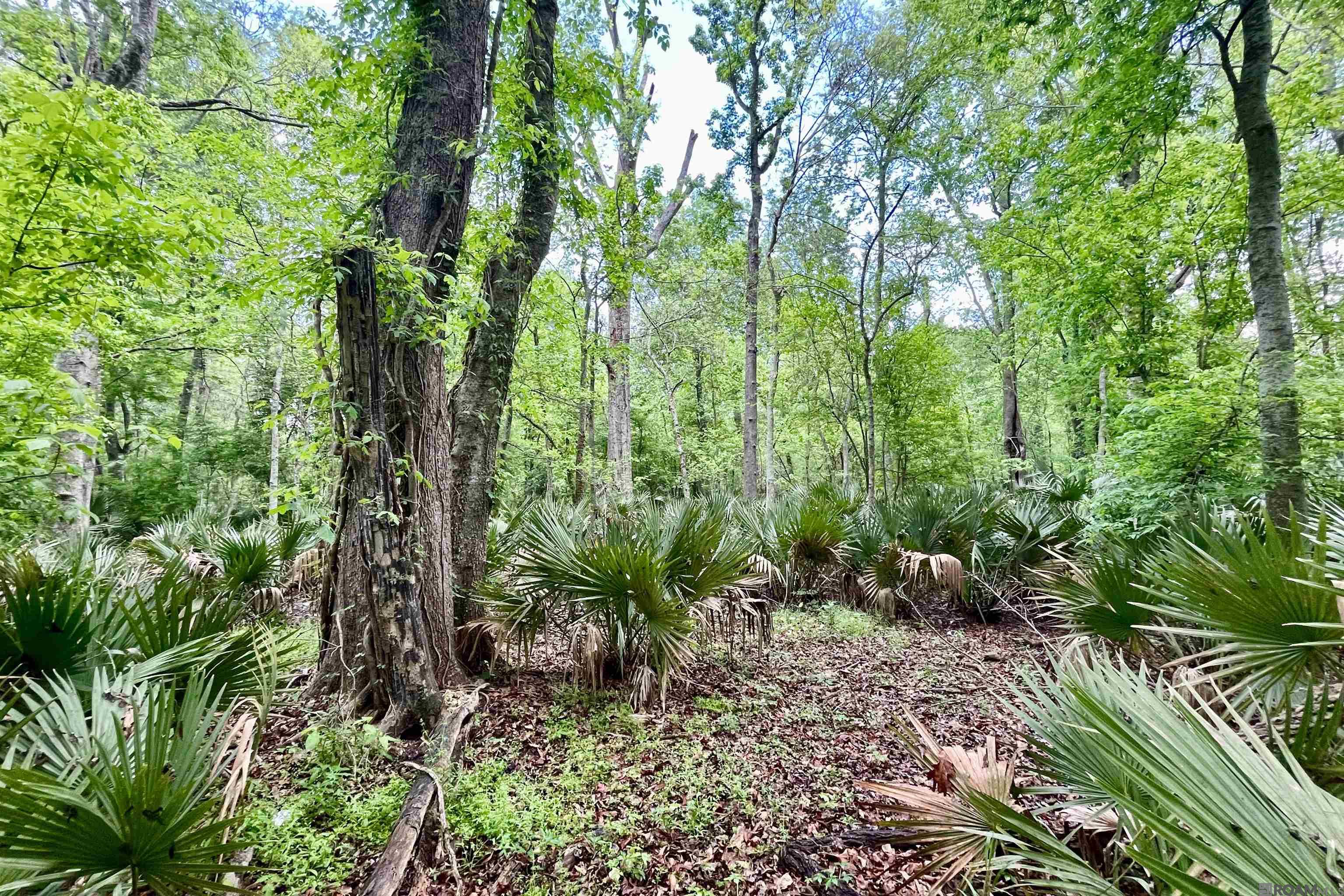 05 La Hwy 74, St Gabriel, LA, 70776