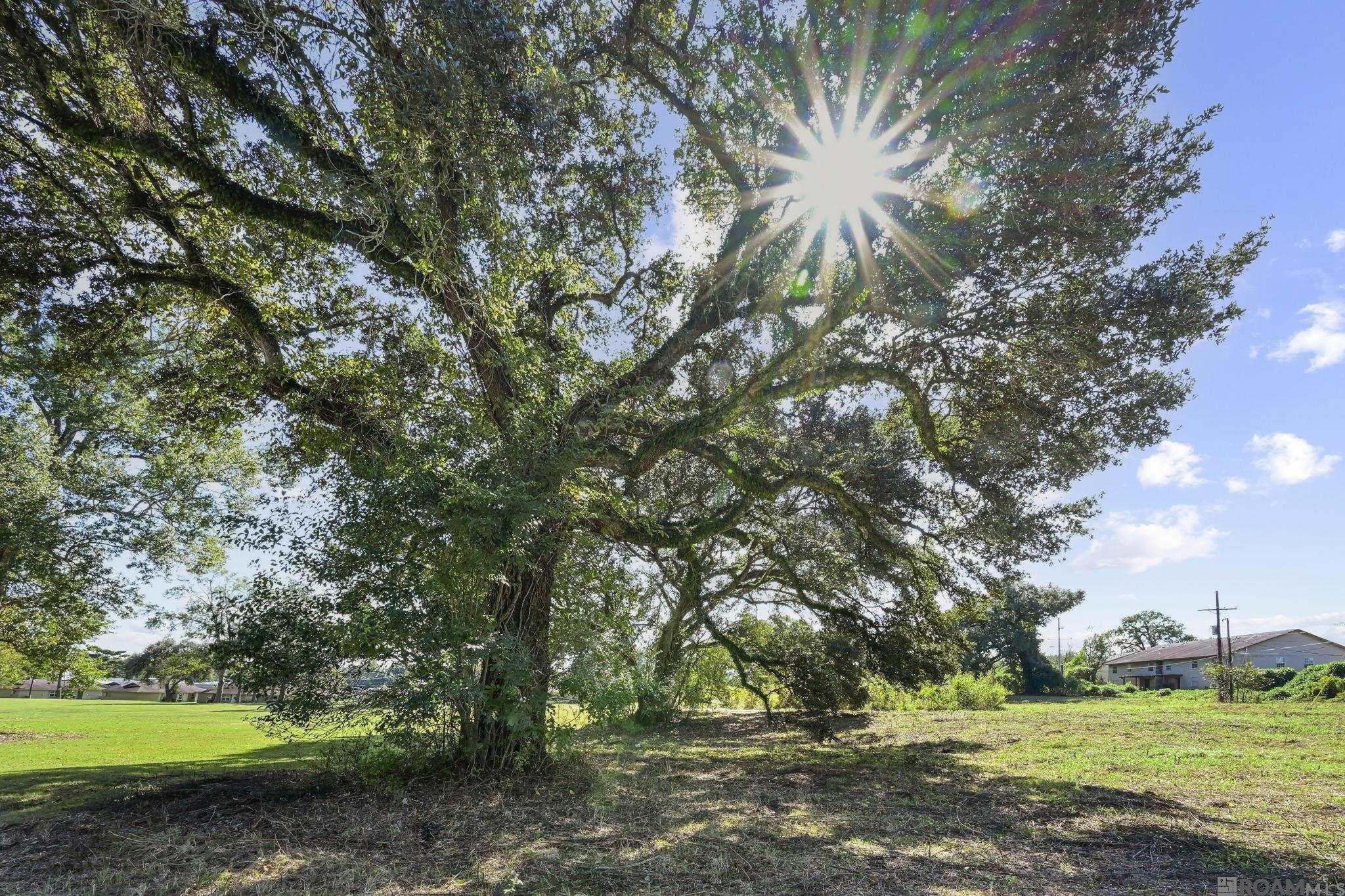 TBD West Feliciana Pkwy, St Francisville, LA, 70775