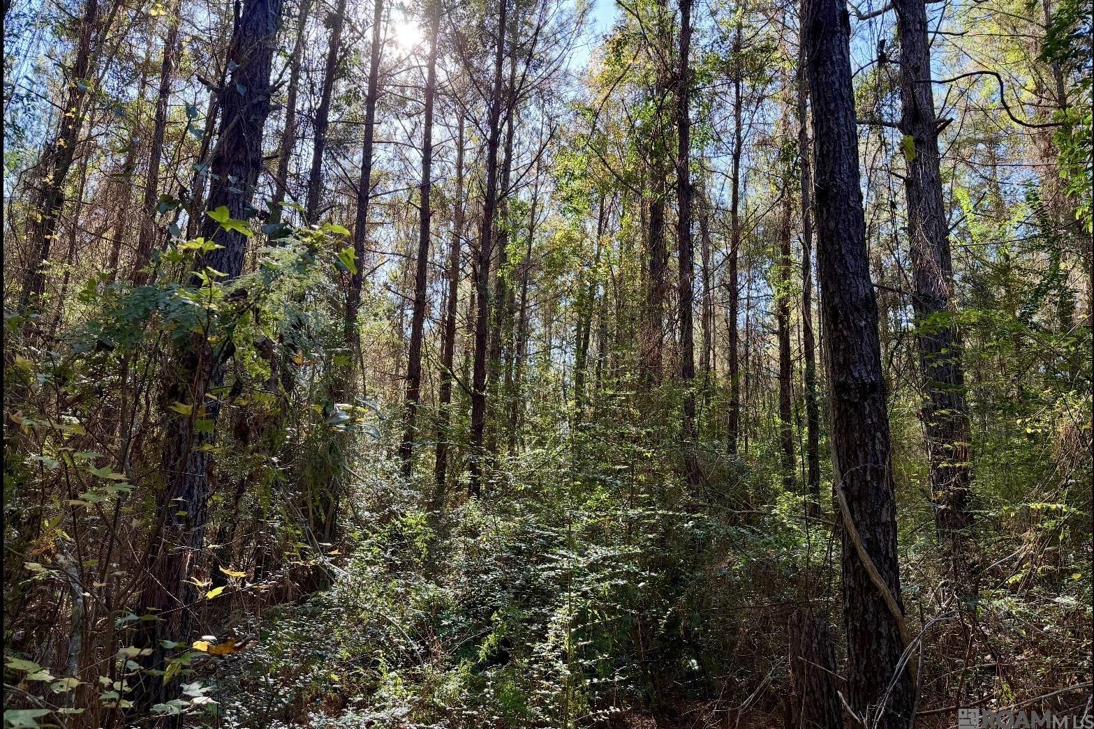 Tract 1-B Boudreaux Ln, Grand Isle, LA, 70358