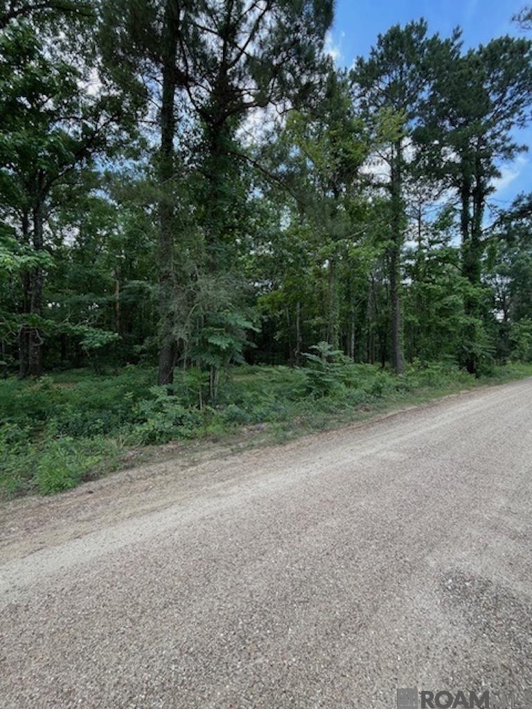 Denham Springs