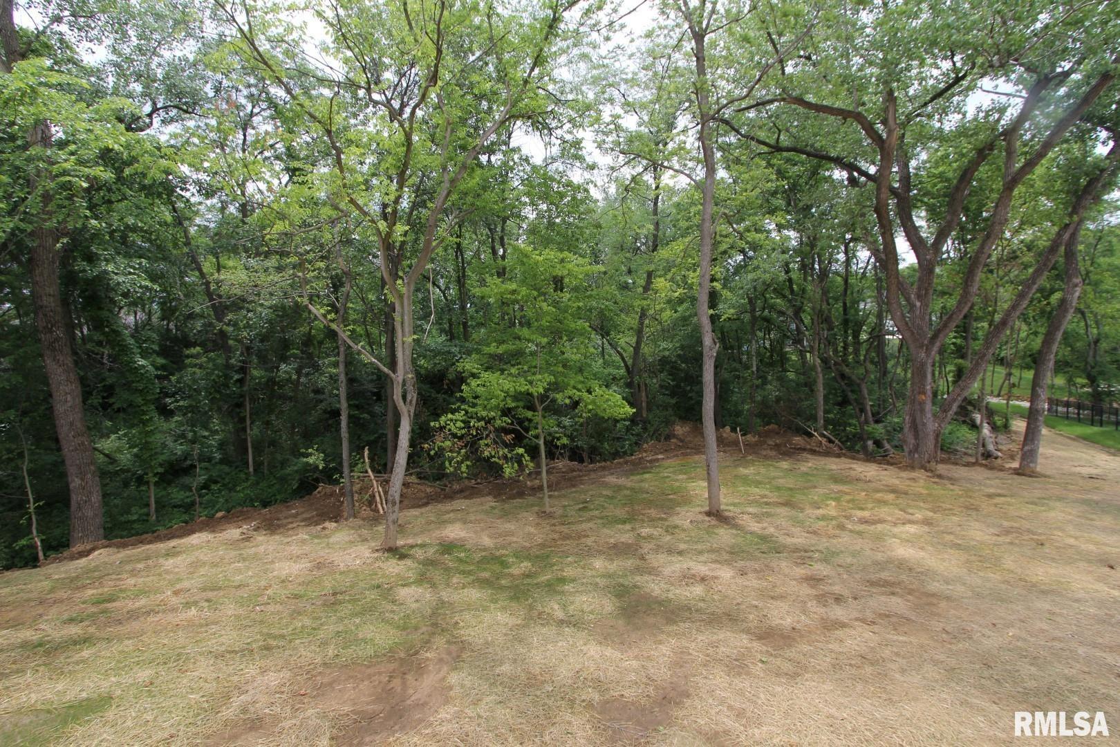 Gallery Image 52