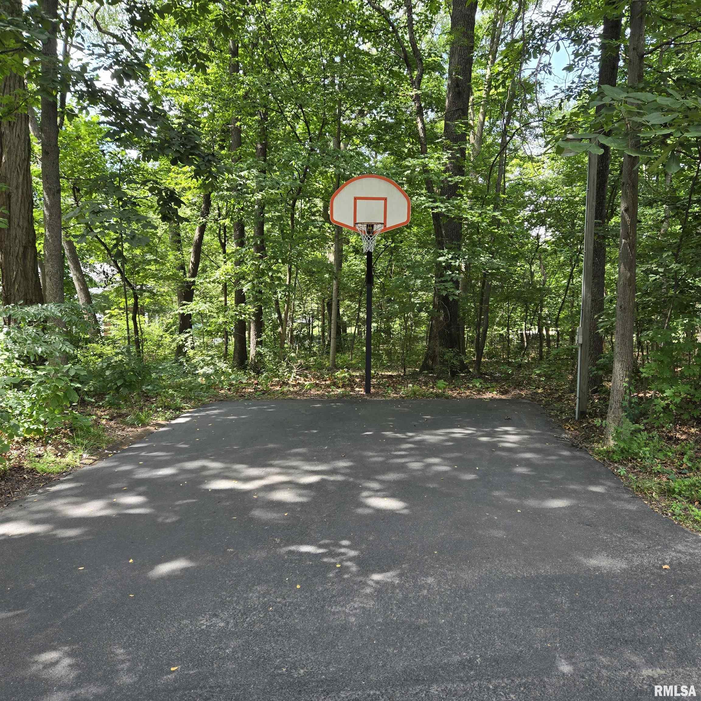 Gallery Image 56