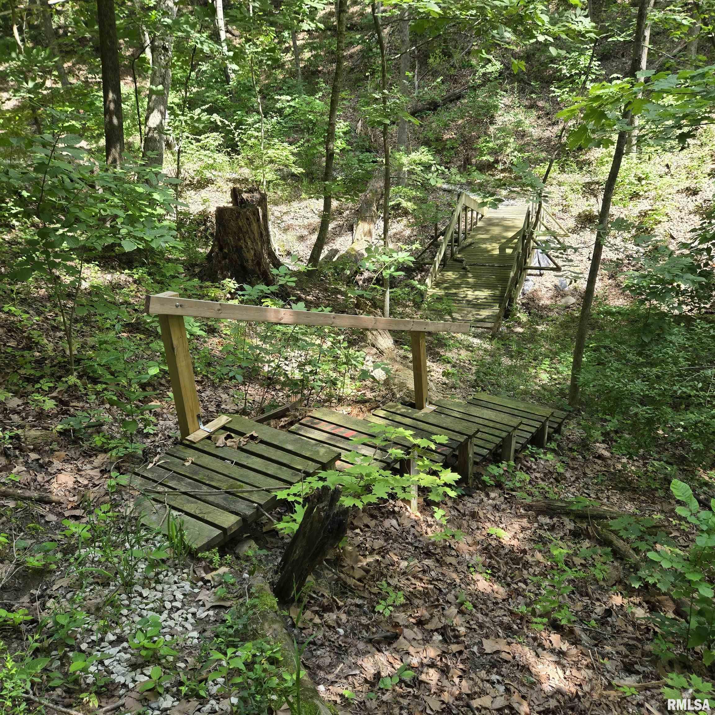 Gallery Image 63
