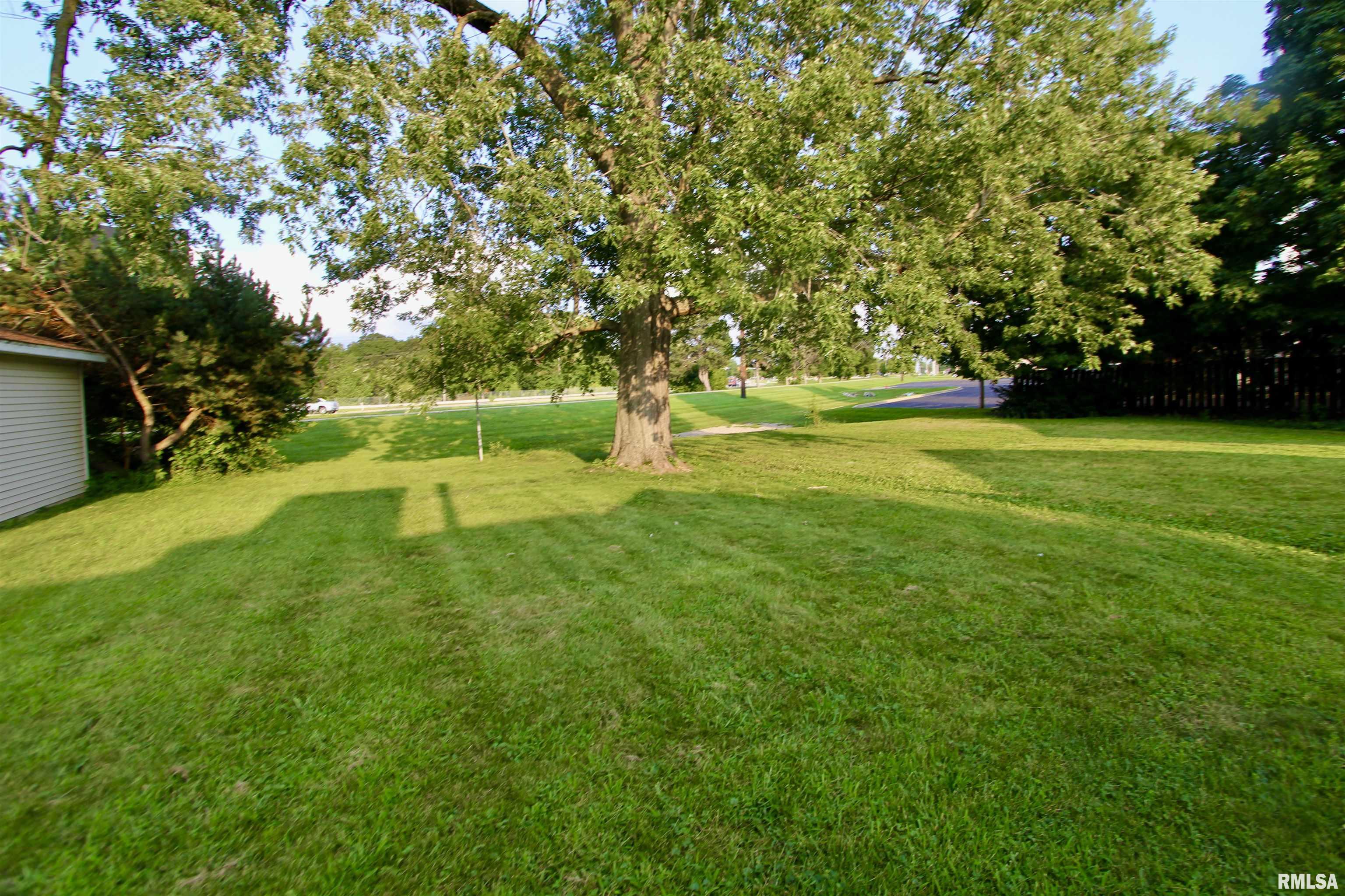 Gallery Image 56