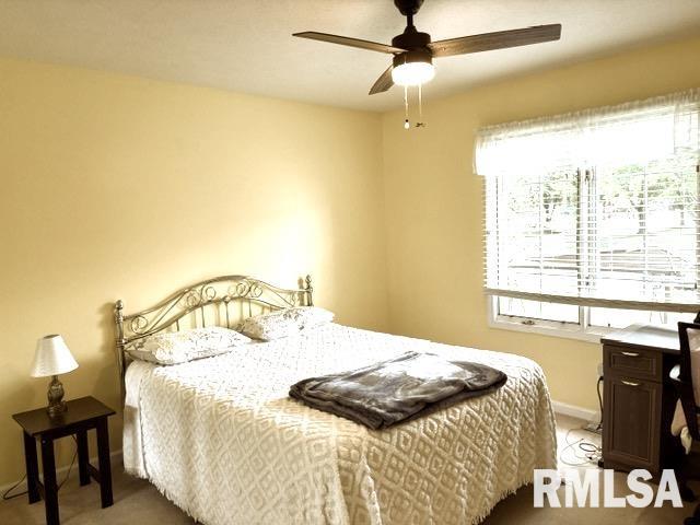 Gallery Image 48