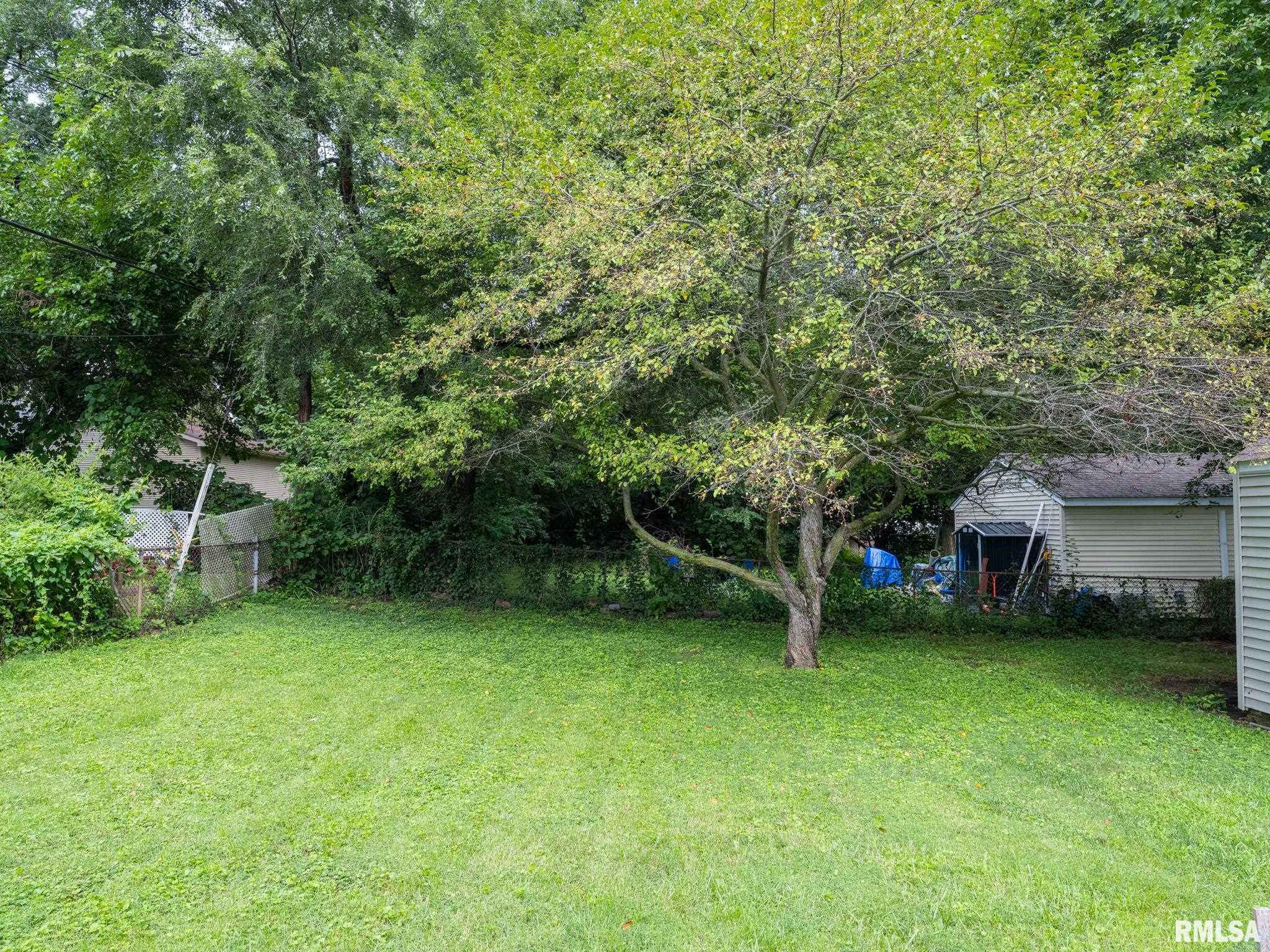 Gallery Image 36
