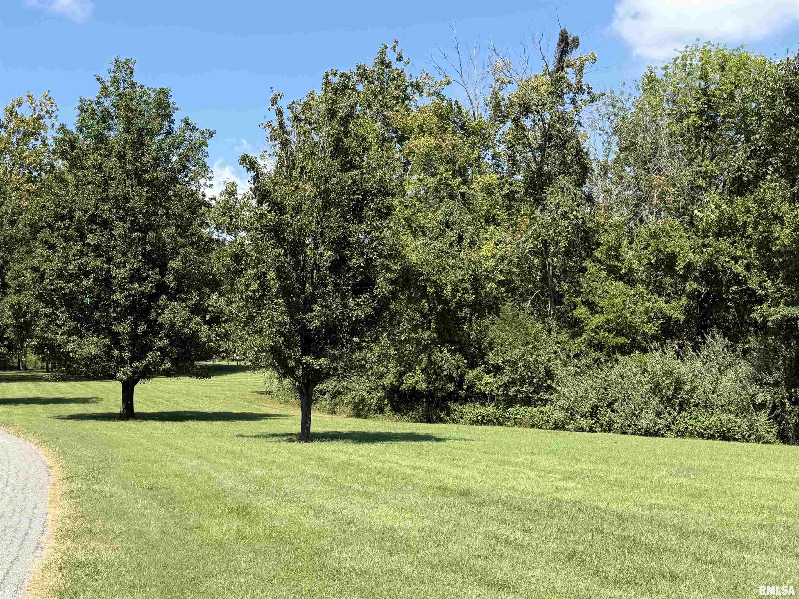 Gallery Image 45