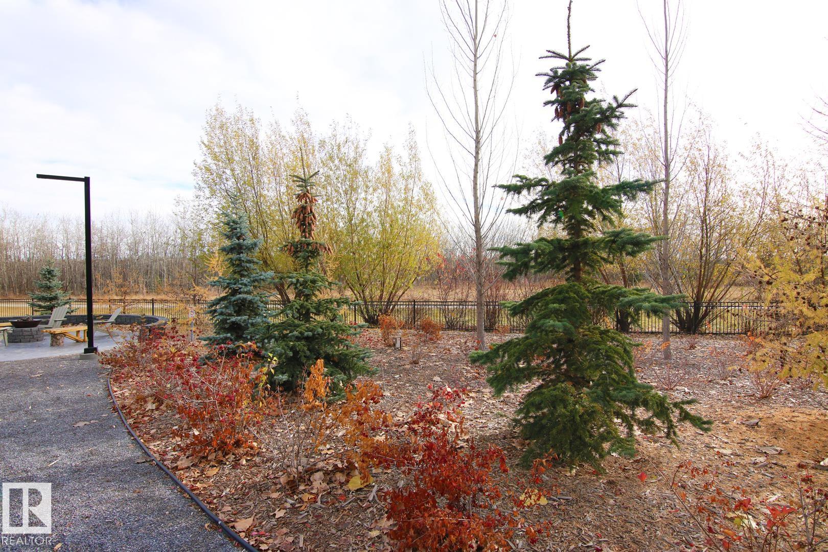 Photo 59 at 311 - 7463 May Common NW, Magrath Heights, Edmonton