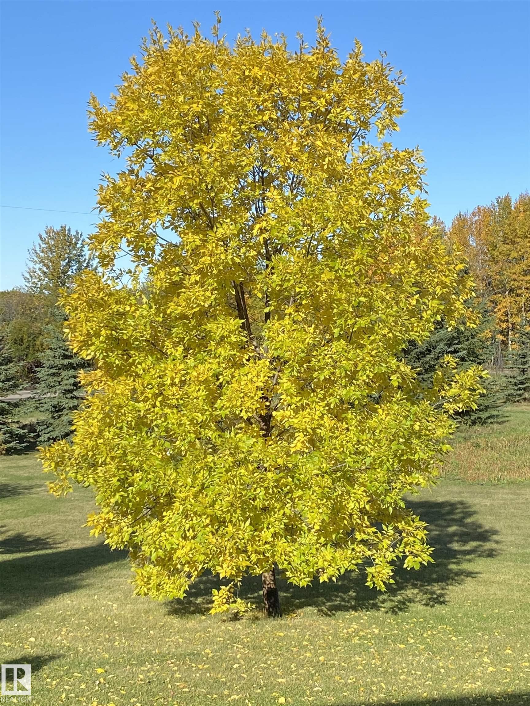 Photo 67 at 370 - 50247 Rge Rd 232, Scottsdale Estates, Rural Leduc County