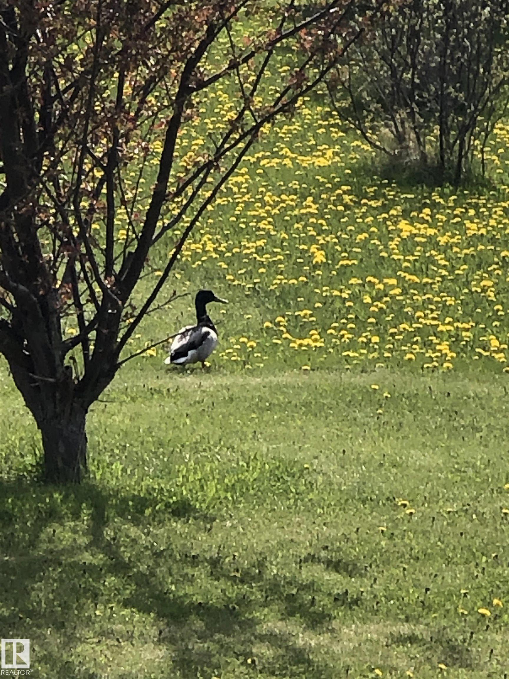 Photo 70 at 370 - 50247 Rge Rd 232, Scottsdale Estates, Rural Leduc County