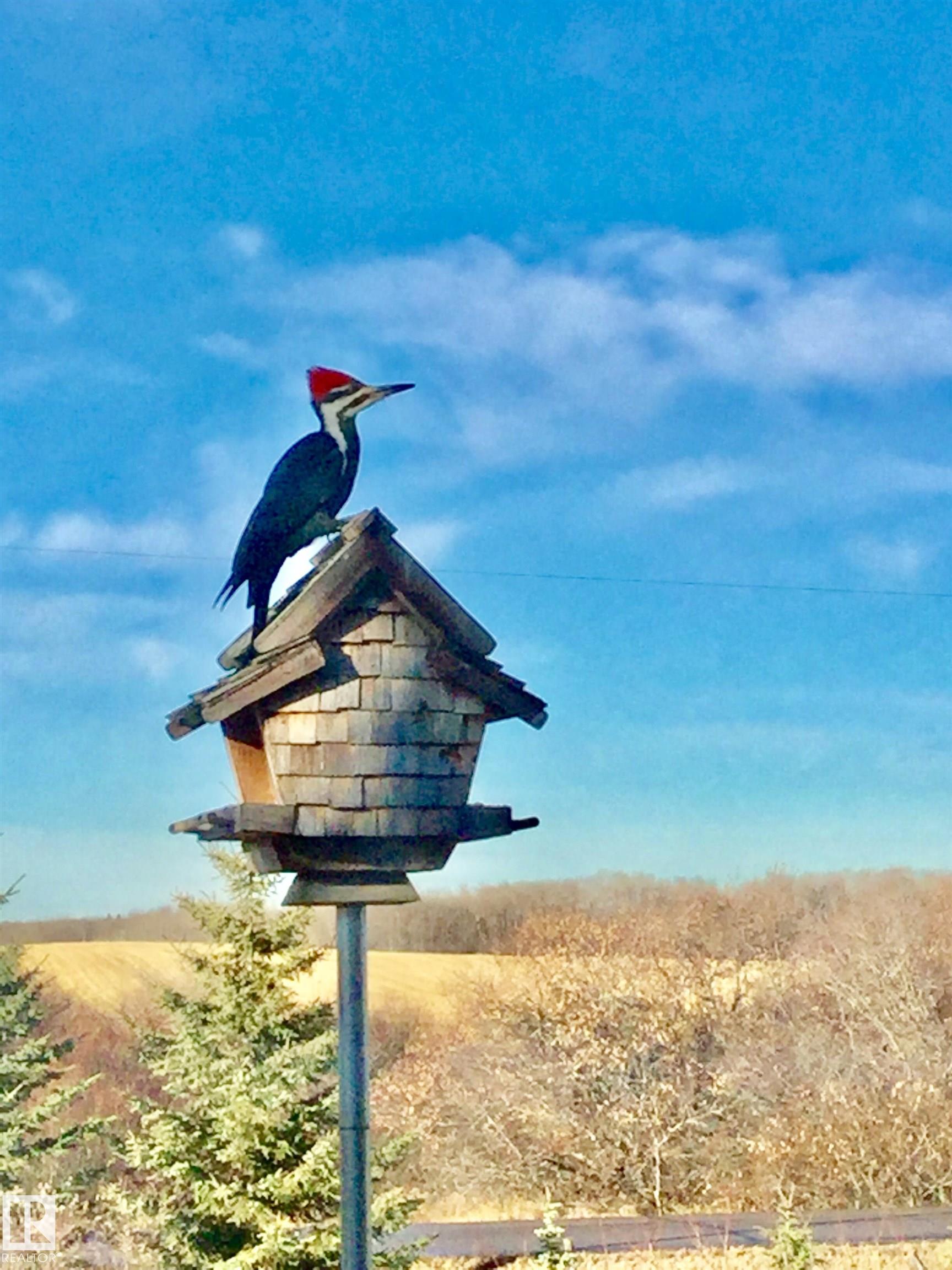 Photo 73 at 370 - 50247 Rge Rd 232, Scottsdale Estates, Rural Leduc County