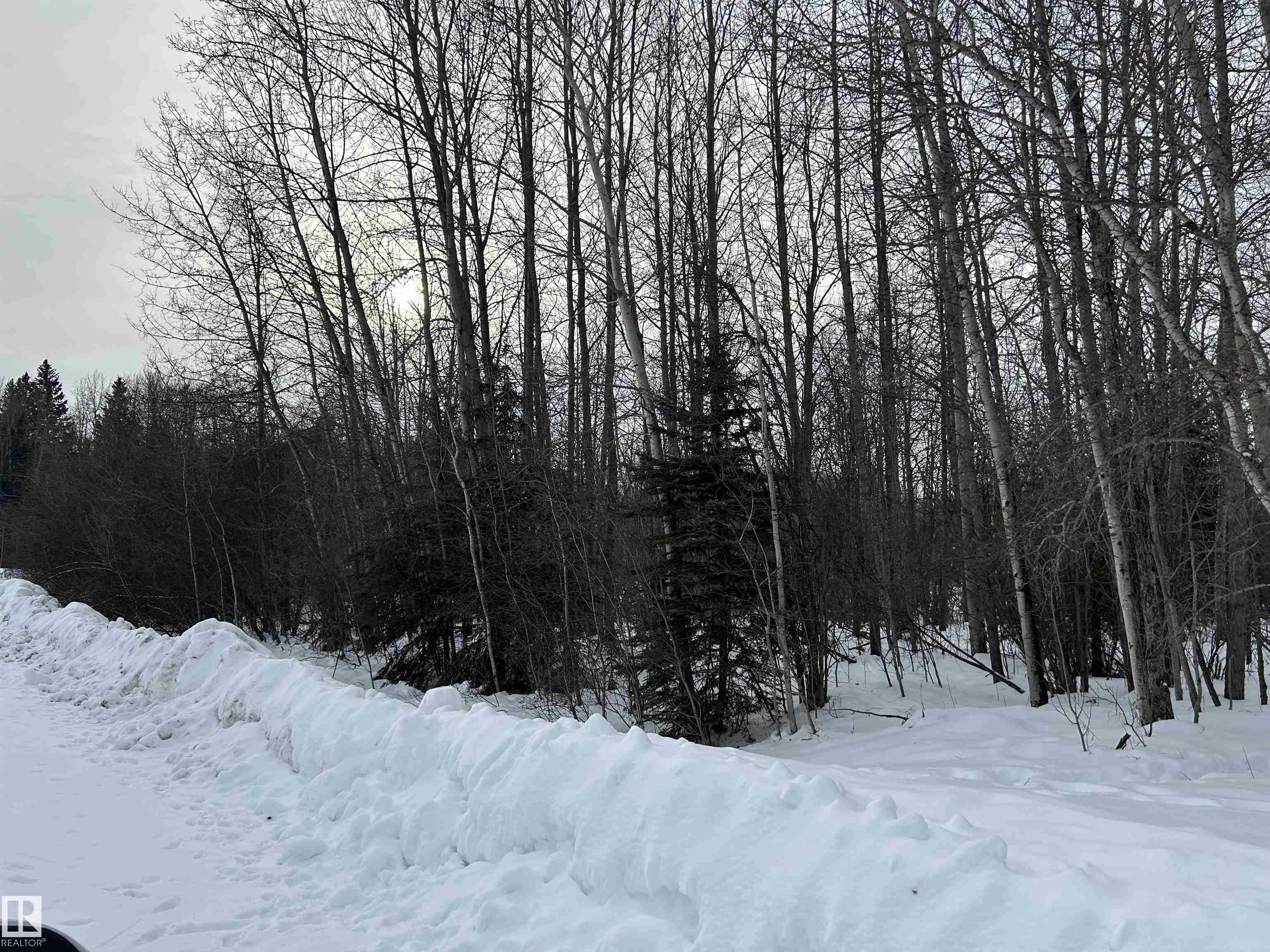 4 59011 Rge Rd 232, Rural Thorhild County - $79,900