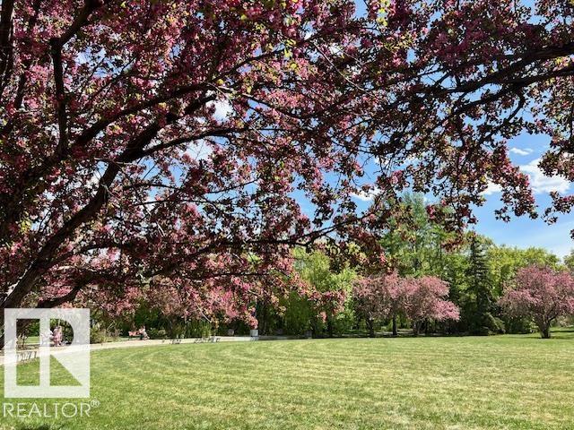 Photo 47 at 103 - 9811 96a Street NW, Cloverdale, Edmonton