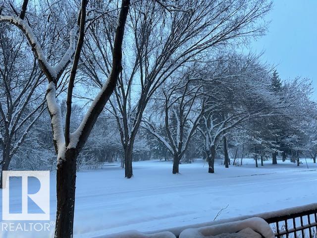 Photo 49 at 103 - 9811 96a Street NW, Cloverdale, Edmonton