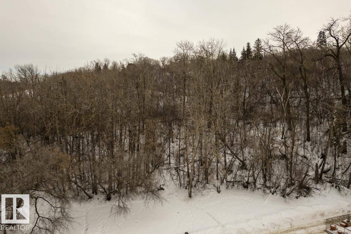 Photo 60 at 9743 91 Street NW, Cloverdale, Edmonton