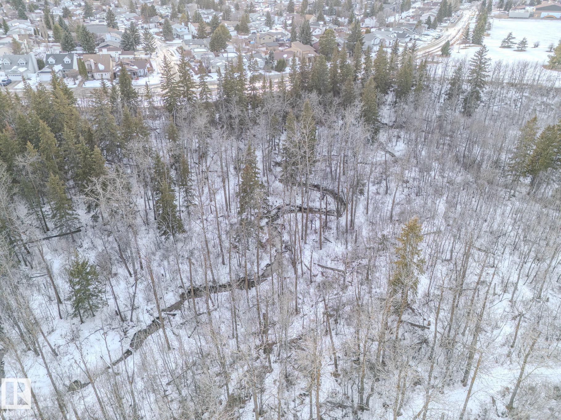 Photo 47 at 1916 Kramer Way NW, Kiniski Gardens, Edmonton