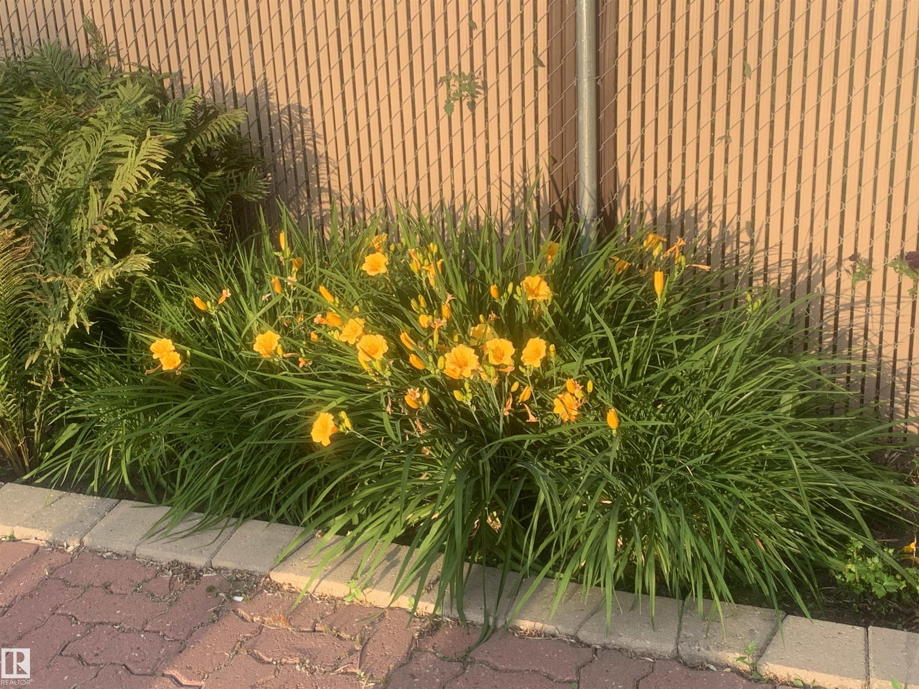 Photo 44 at 65 Mission Avenue, Mission, St. Albert