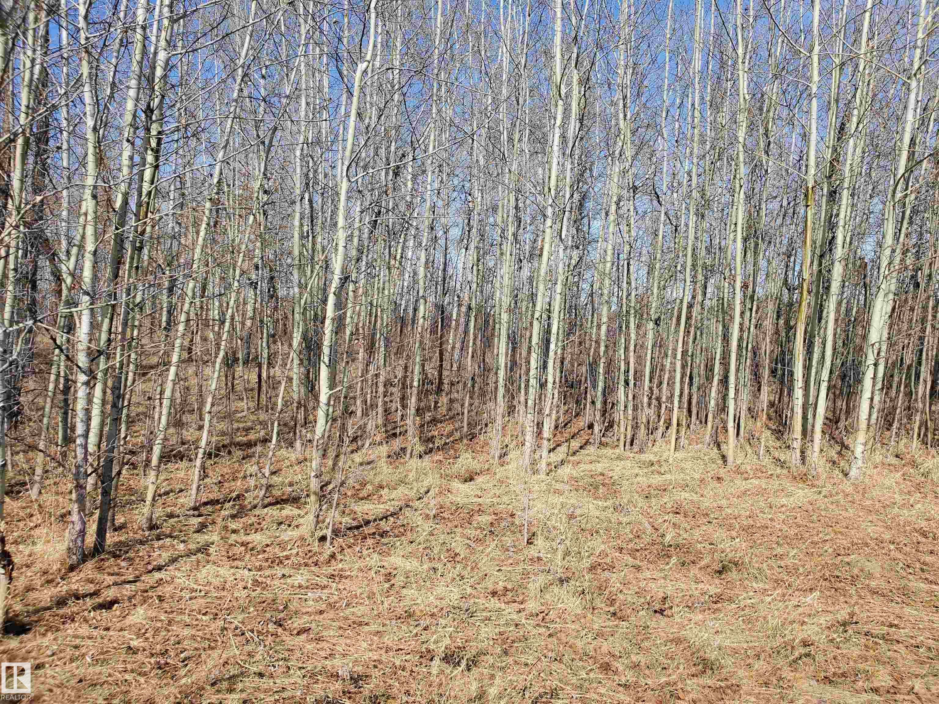 Photo 11 at 51022 Rge Road 263, Aspen Estates, Rural Parkland County