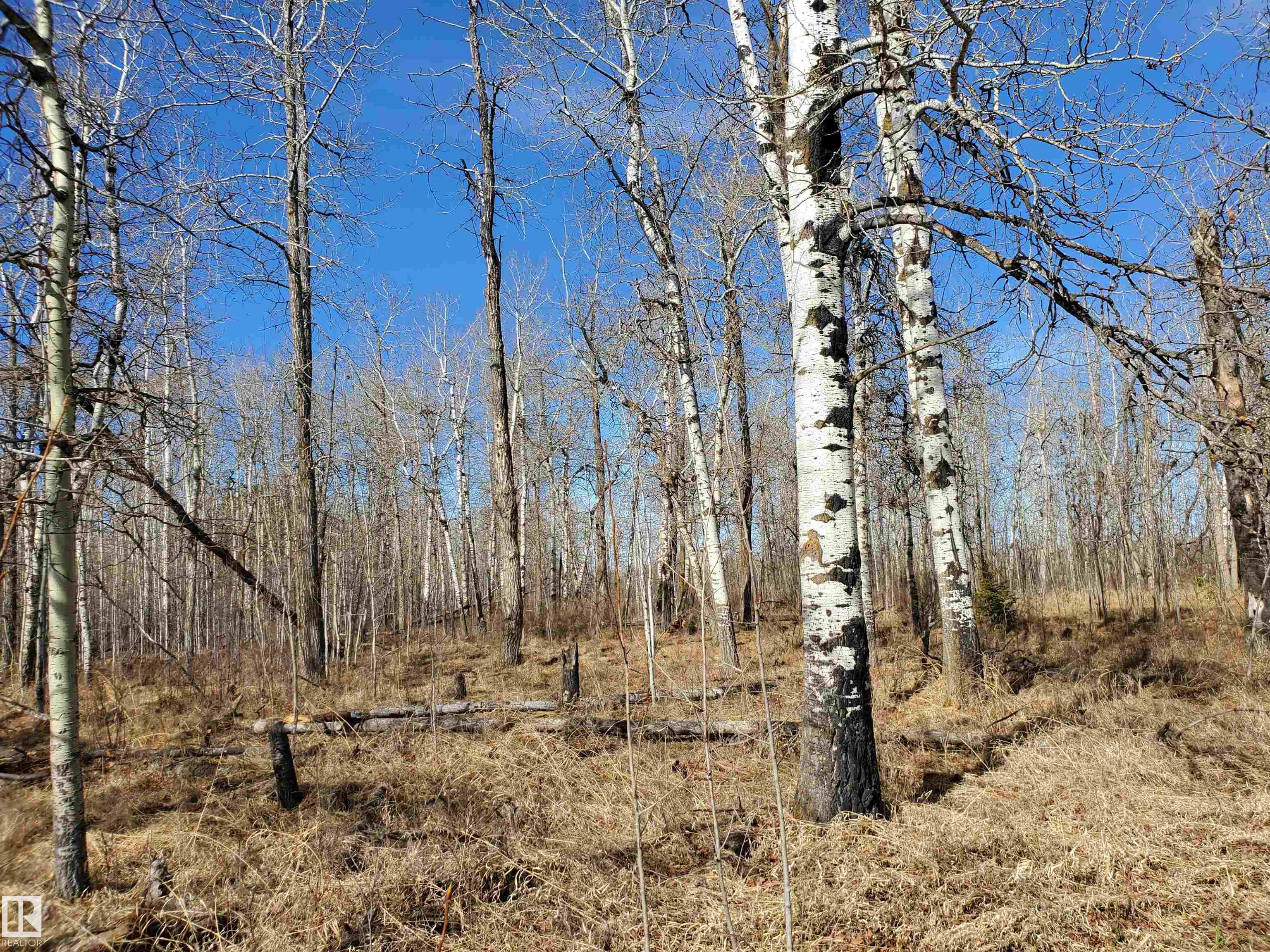 Photo 12 at 51022 Rge Road 263, Aspen Estates, Rural Parkland County