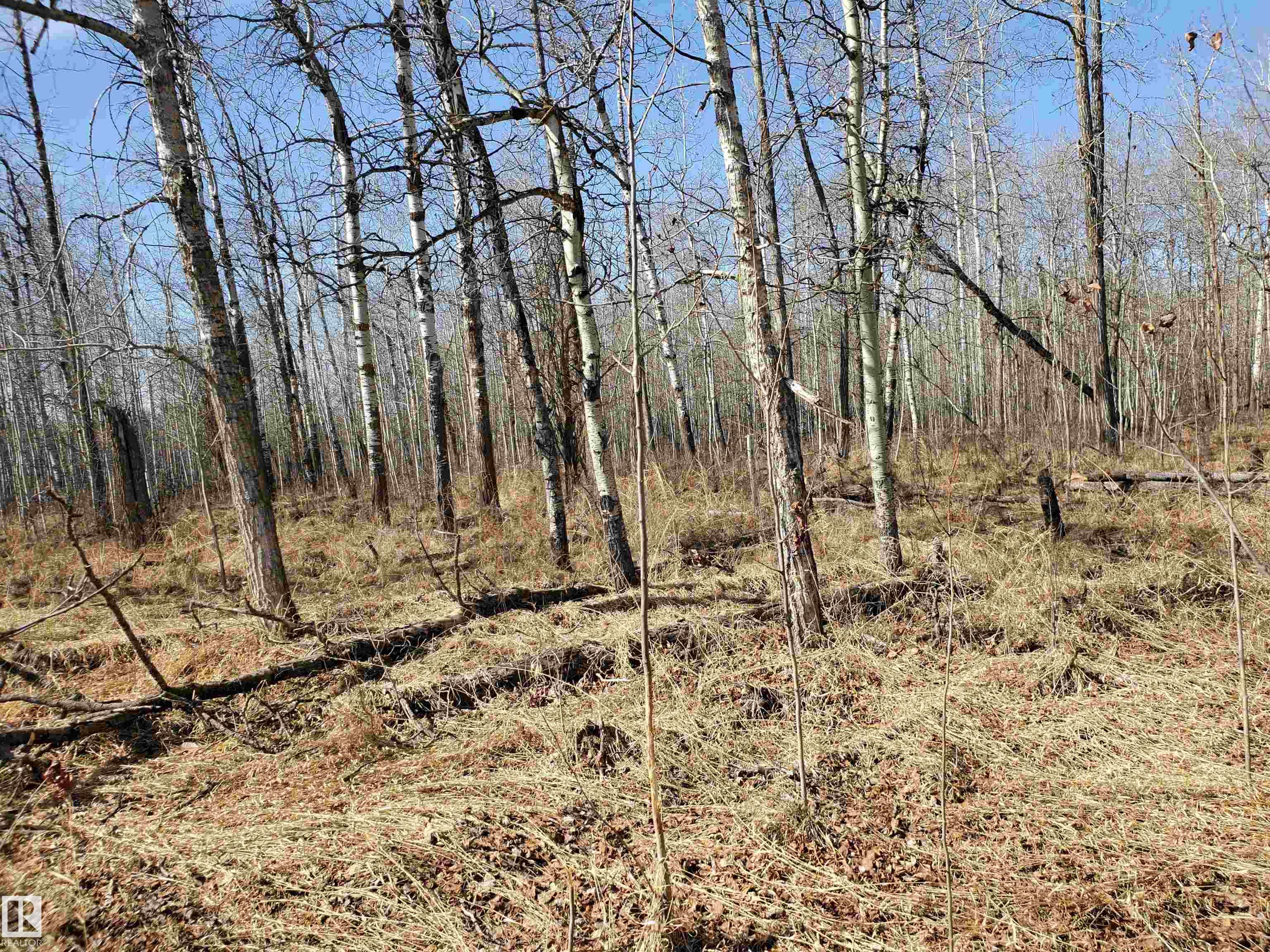 Photo 13 at 51022 Rge Road 263, Aspen Estates, Rural Parkland County