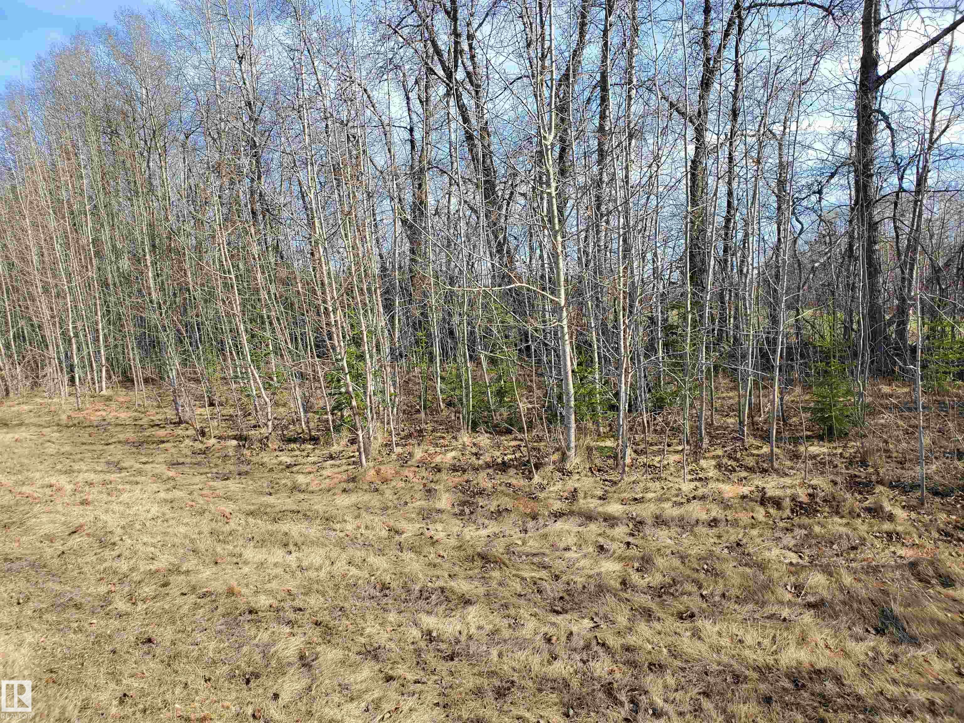 Photo 18 at 51022 Rge Road 263, Aspen Estates, Rural Parkland County