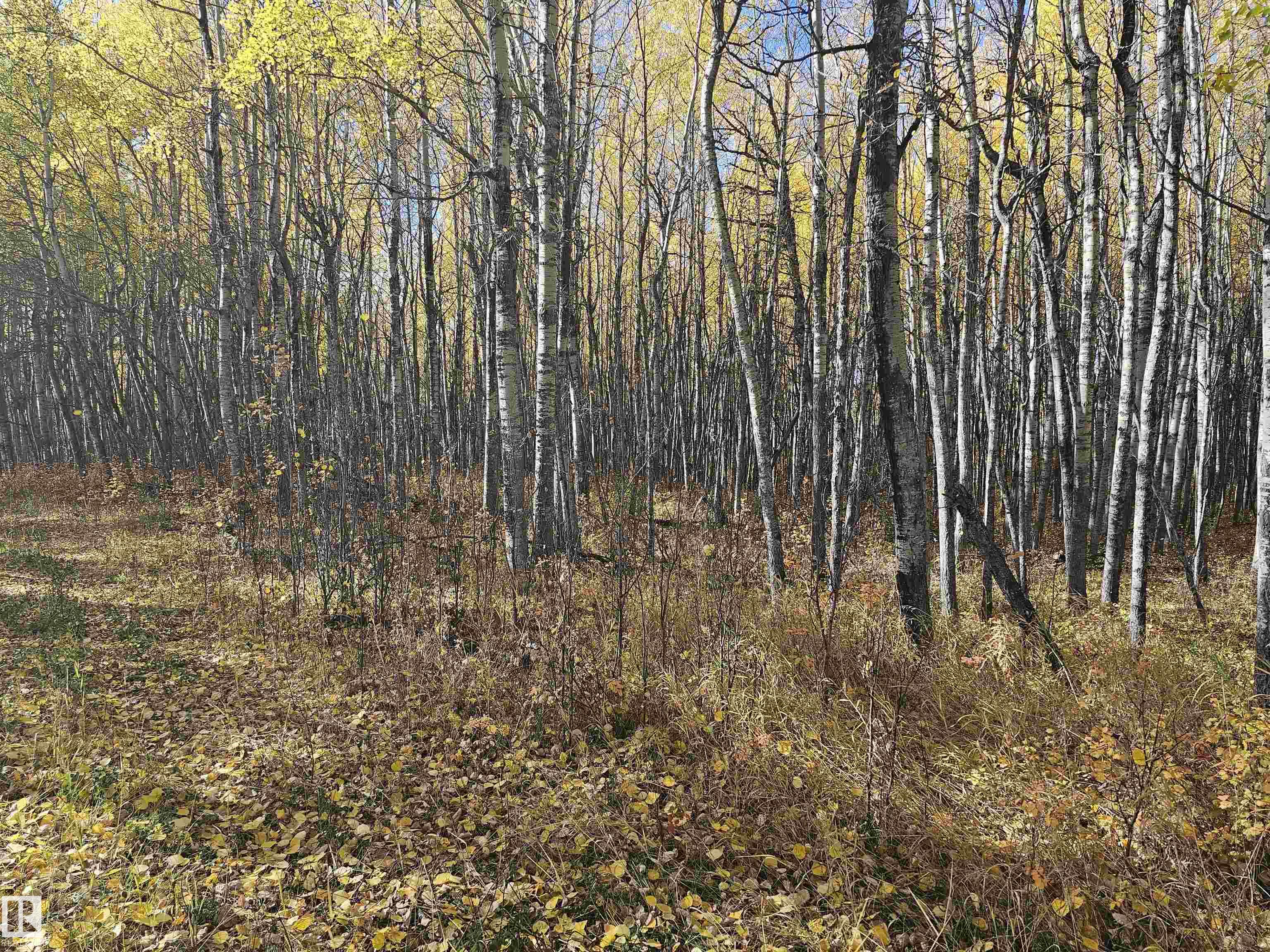 Photo 28 at 51022 Rge Road 263, Aspen Estates, Rural Parkland County