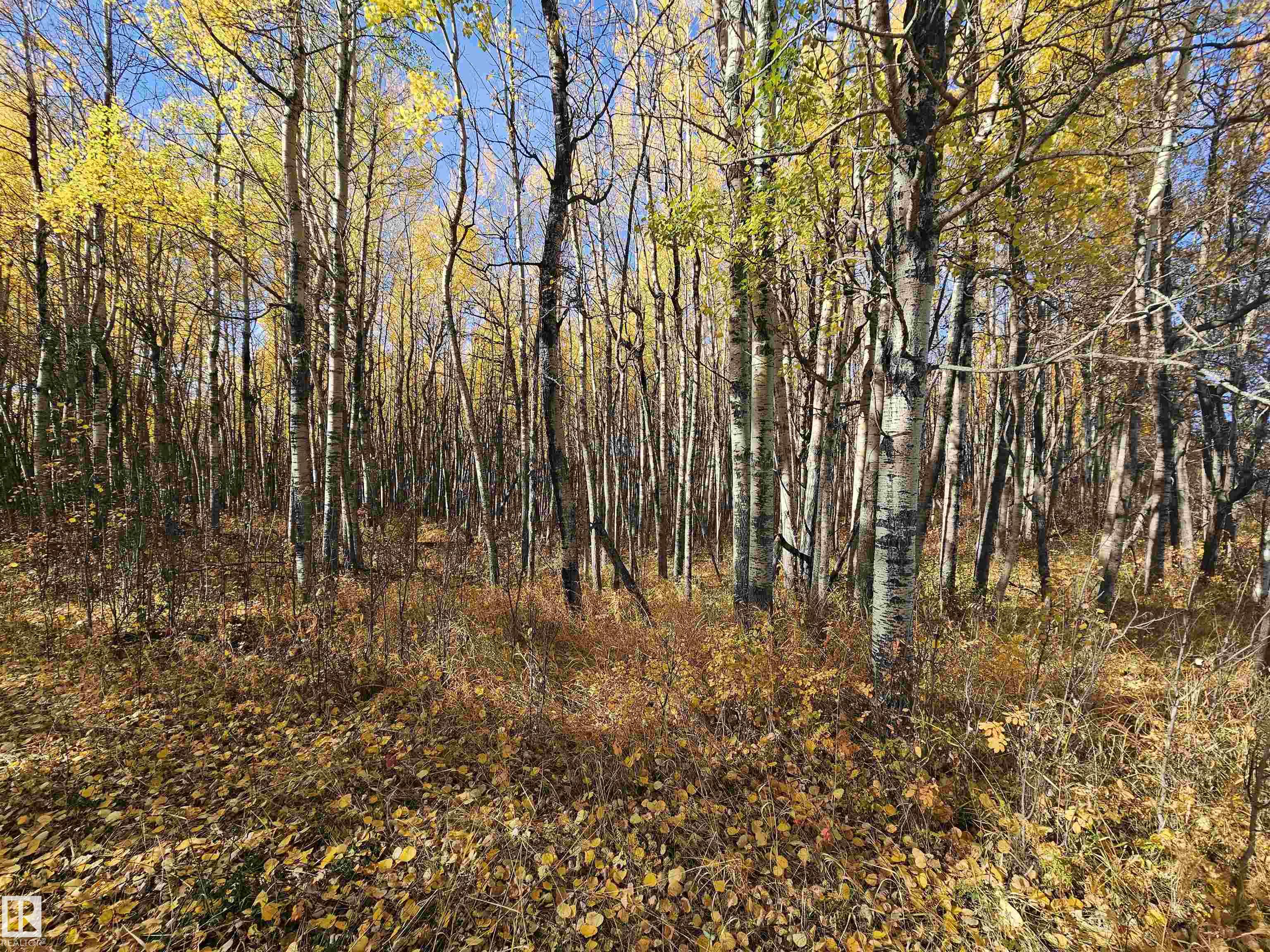 Photo 29 at 51022 Rge Road 263, Aspen Estates, Rural Parkland County