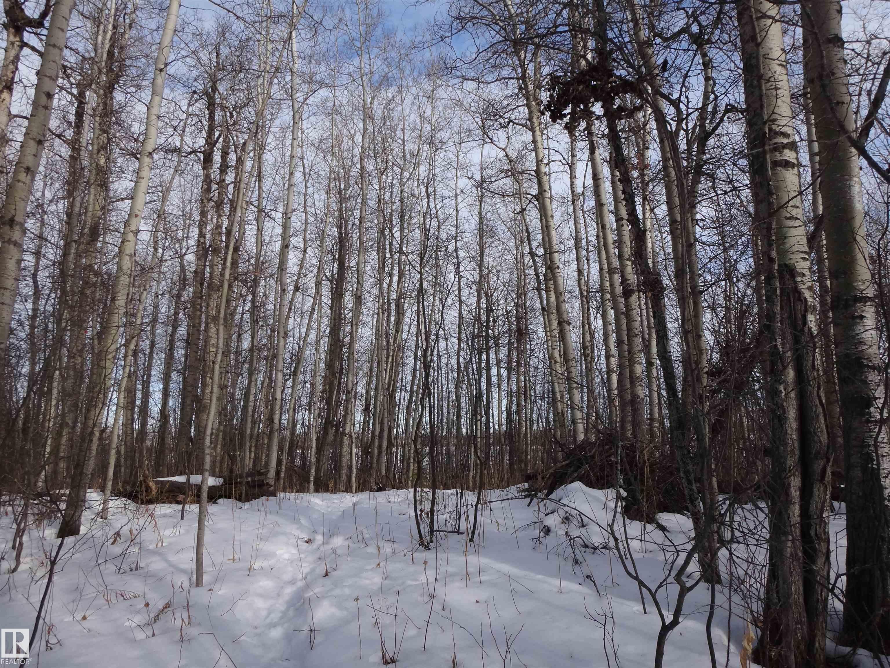 20 53102 Rge Rd 31, Clear Lake, Rural Parkland County