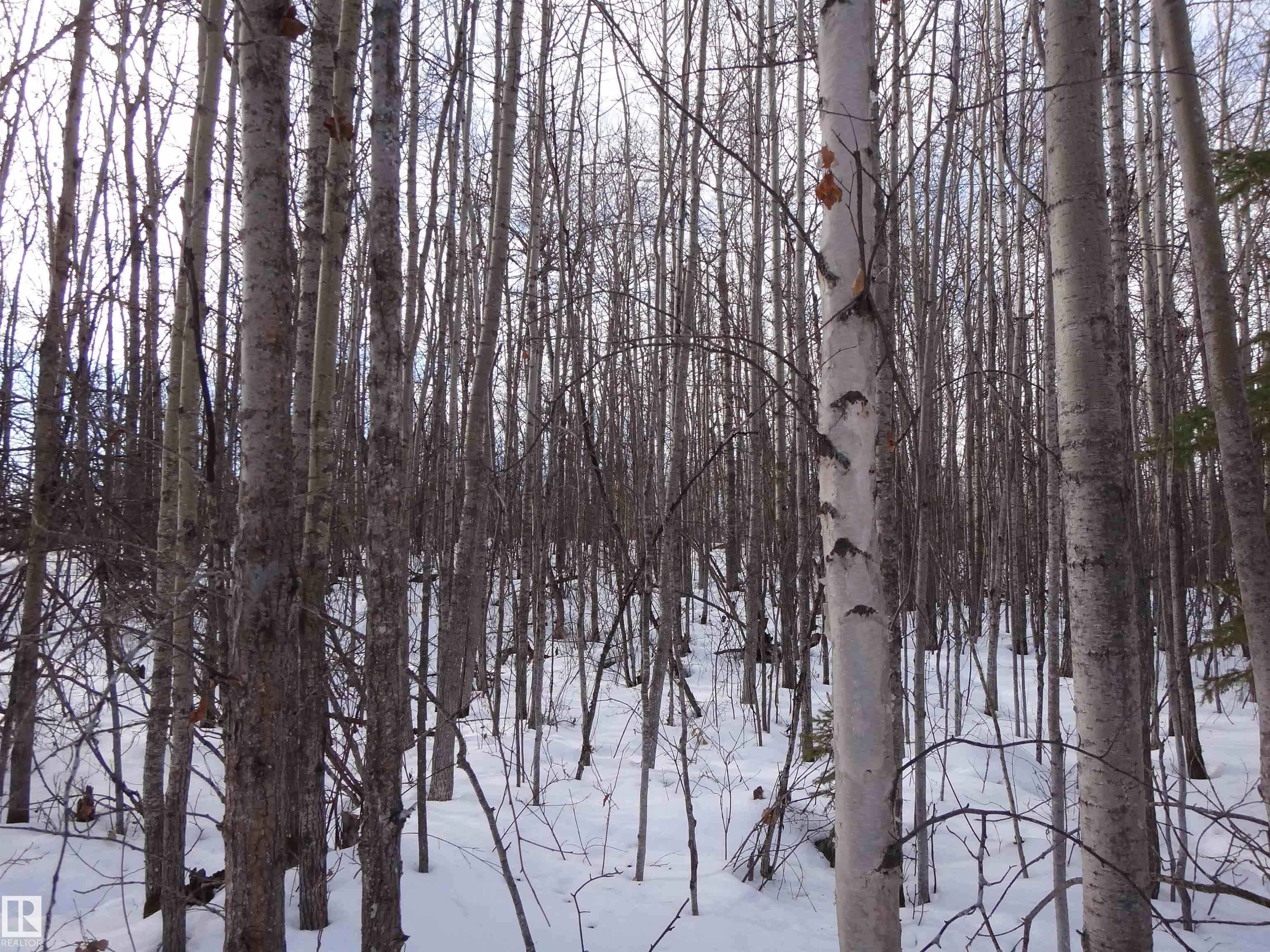 20 53102 Rge Rd 31, Clear Lake, Rural Parkland County