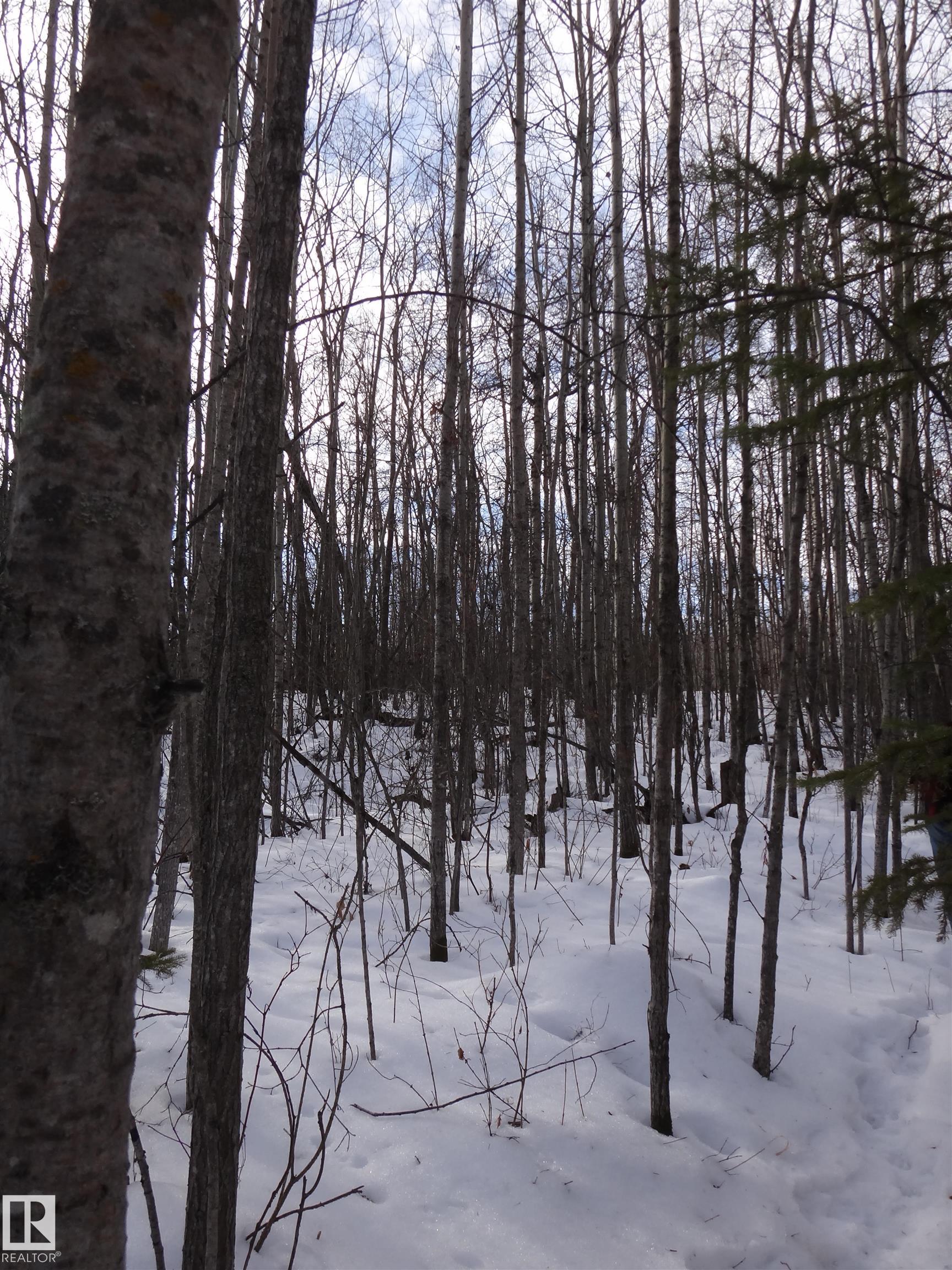 20 53102 Rge Rd 31, Clear Lake, Rural Parkland County