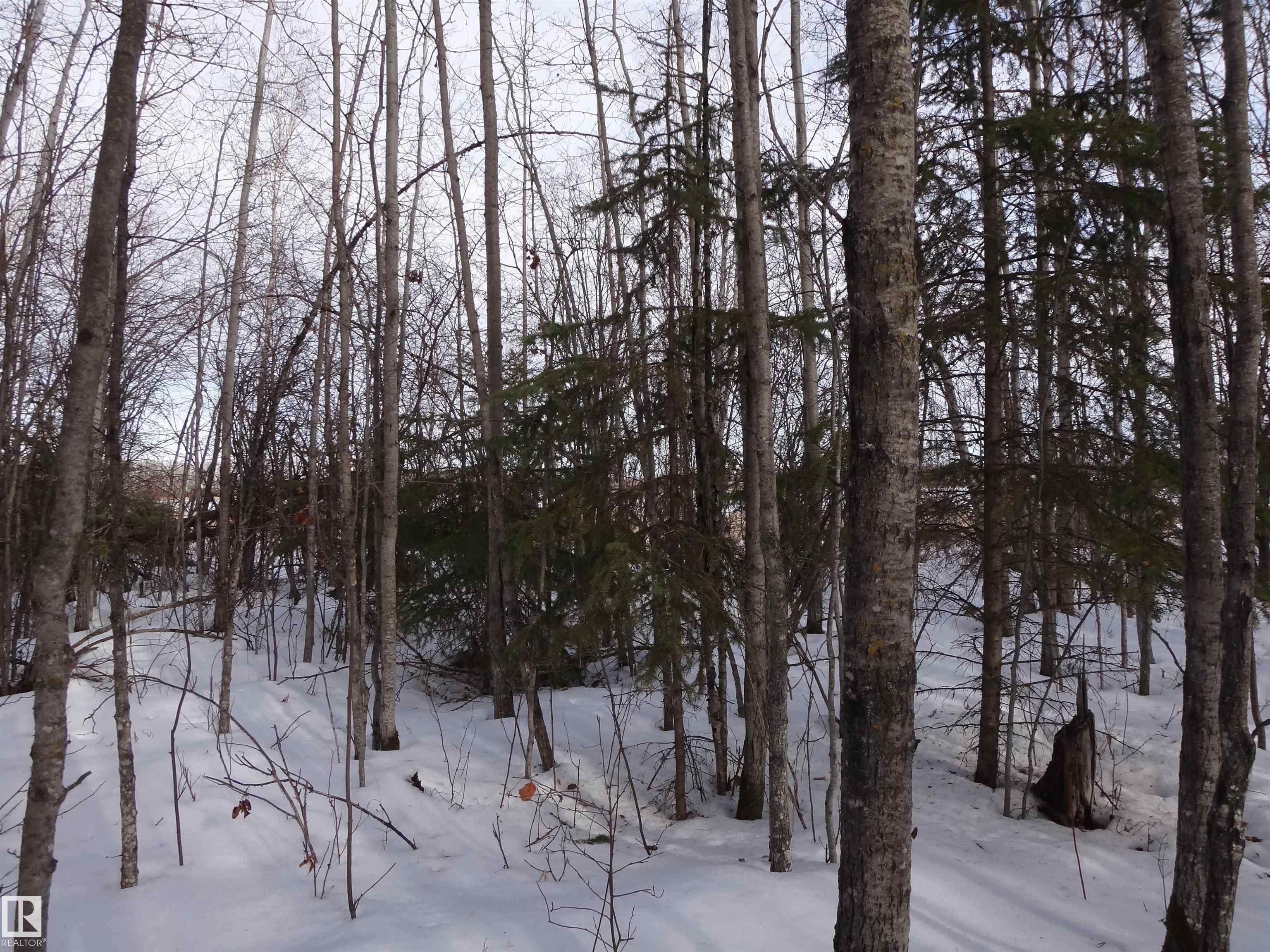 20 53102 Rge Rd 31, Clear Lake, Rural Parkland County