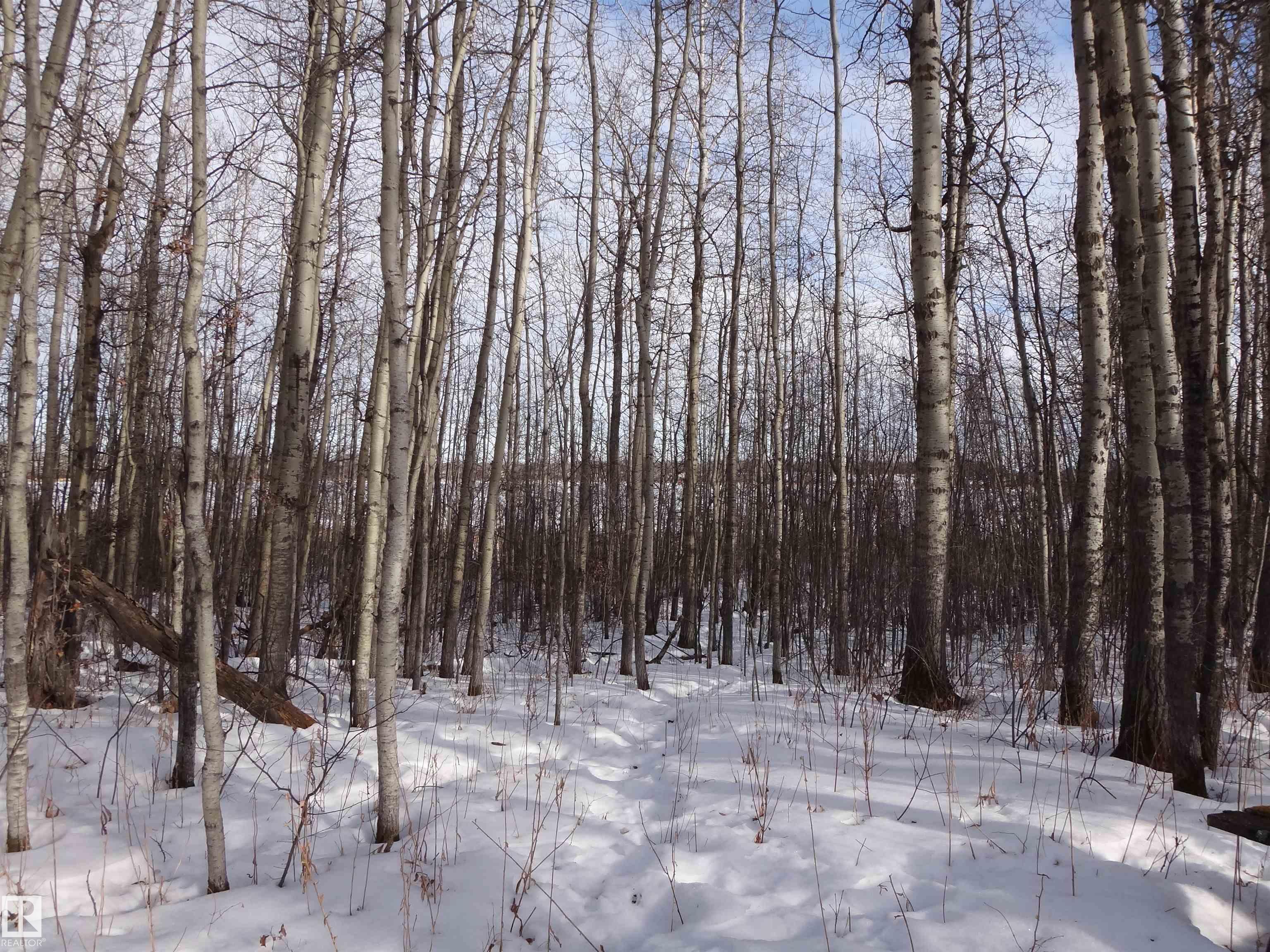 Photo 10 at 20 53102 Rge Rd 31, Clear Lake, Rural Parkland County