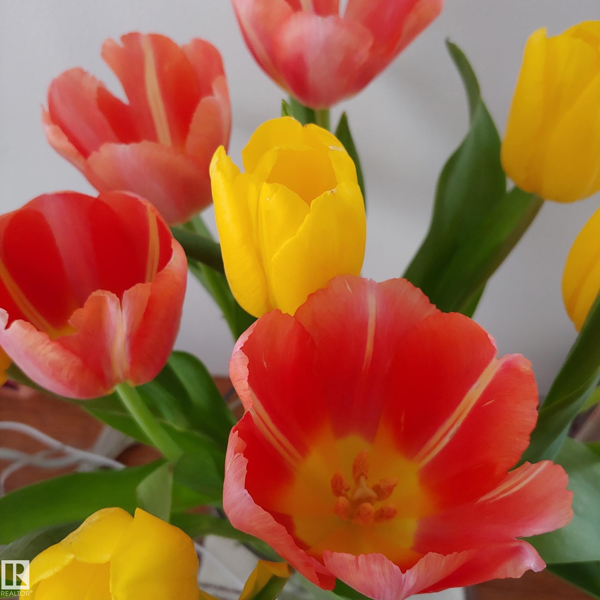 Photo 64 at 10714 128 Street NW, Westmount, Edmonton