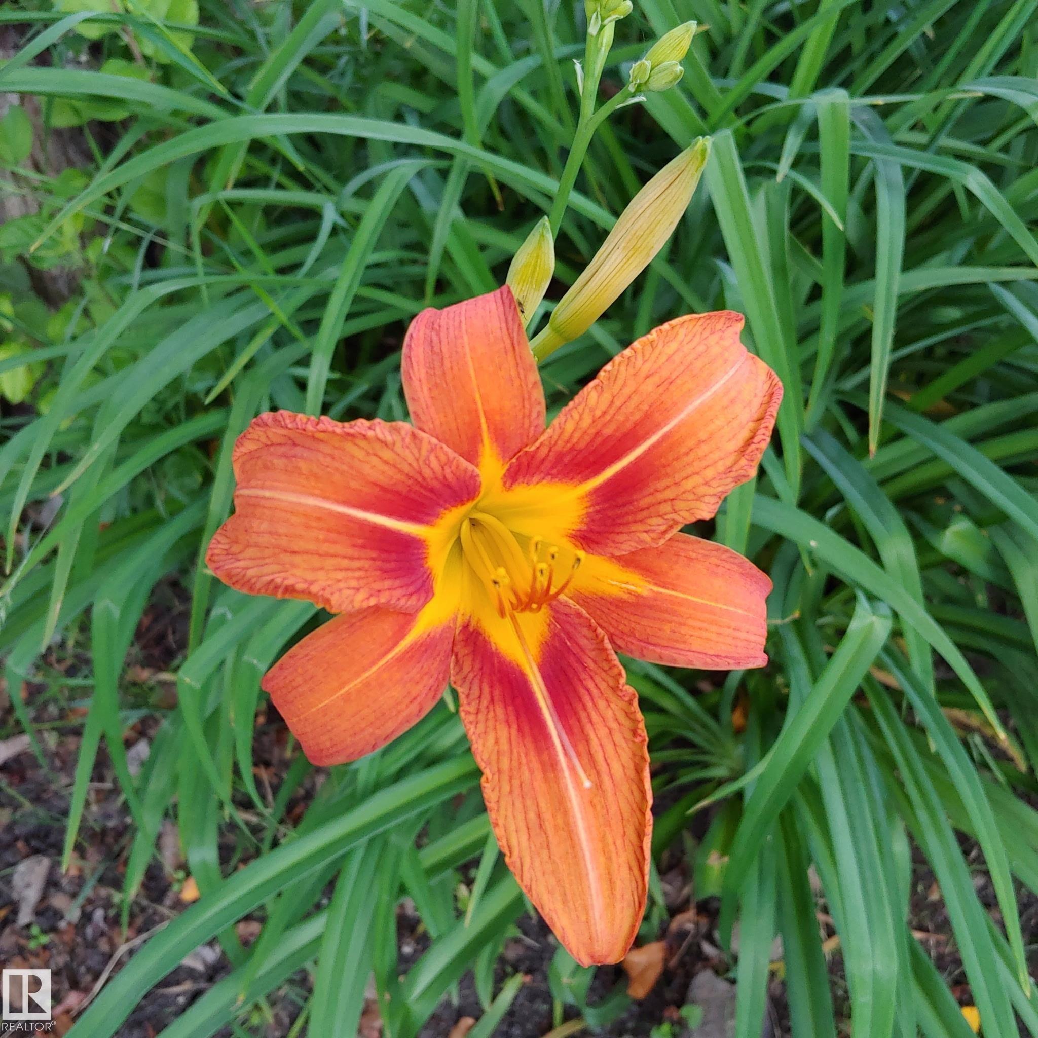 Photo 66 at 10714 128 Street NW, Westmount, Edmonton