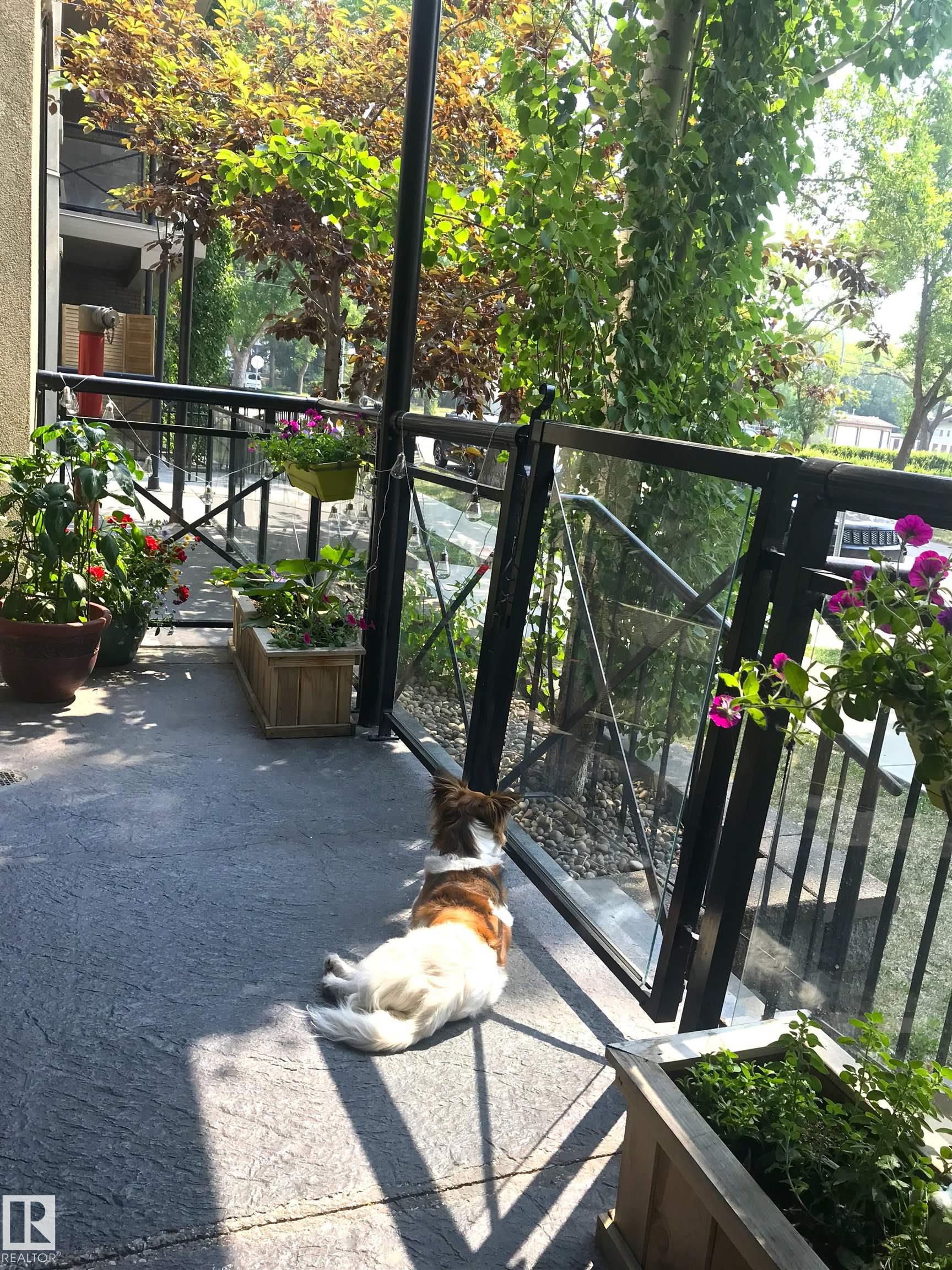 100 - 10808 71 Avenue NW, Queen Alexandra, Edmonton