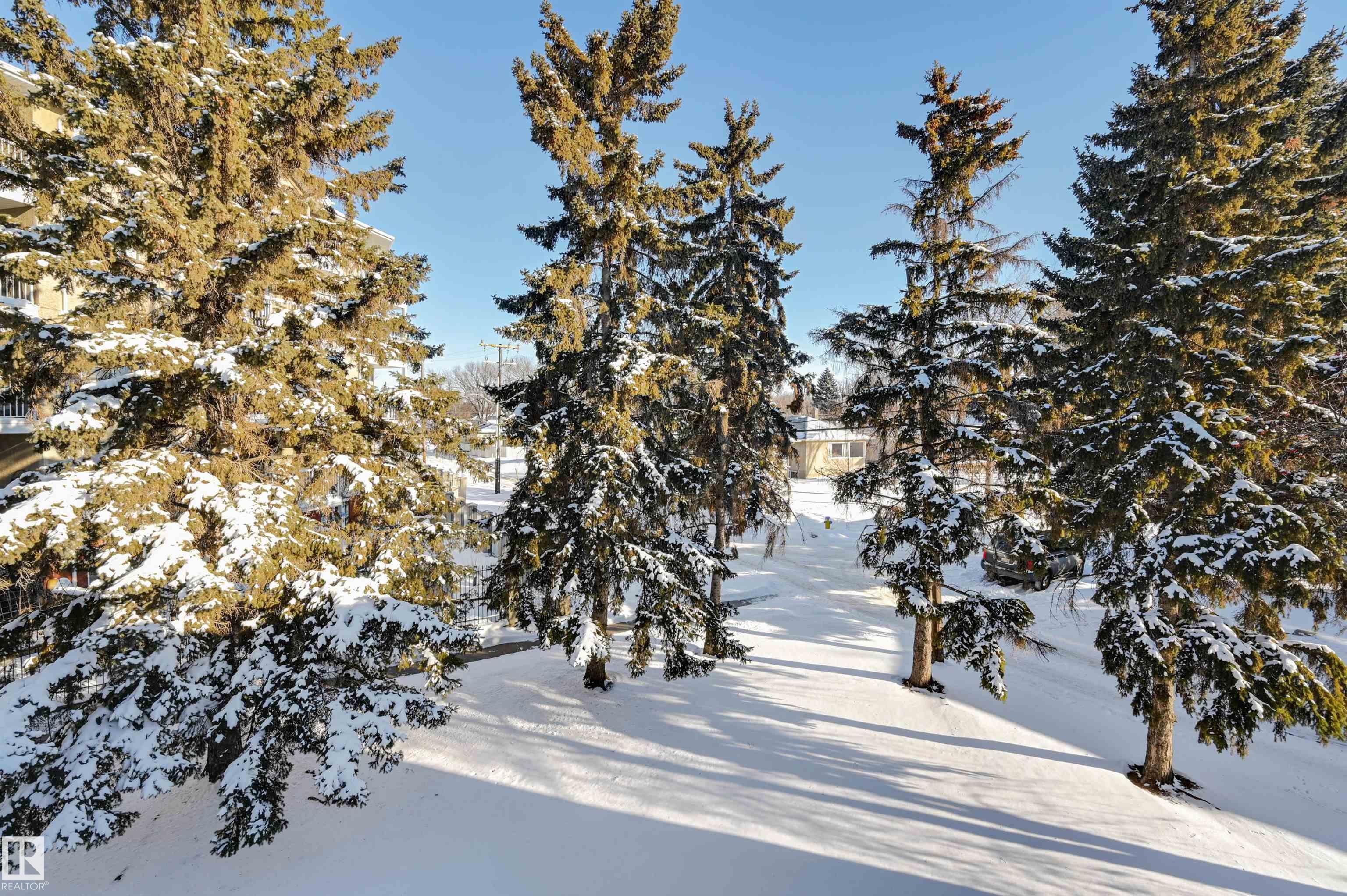 Photo 29 at 310 - 8215 83 Avenue NW, Idylwylde, Edmonton