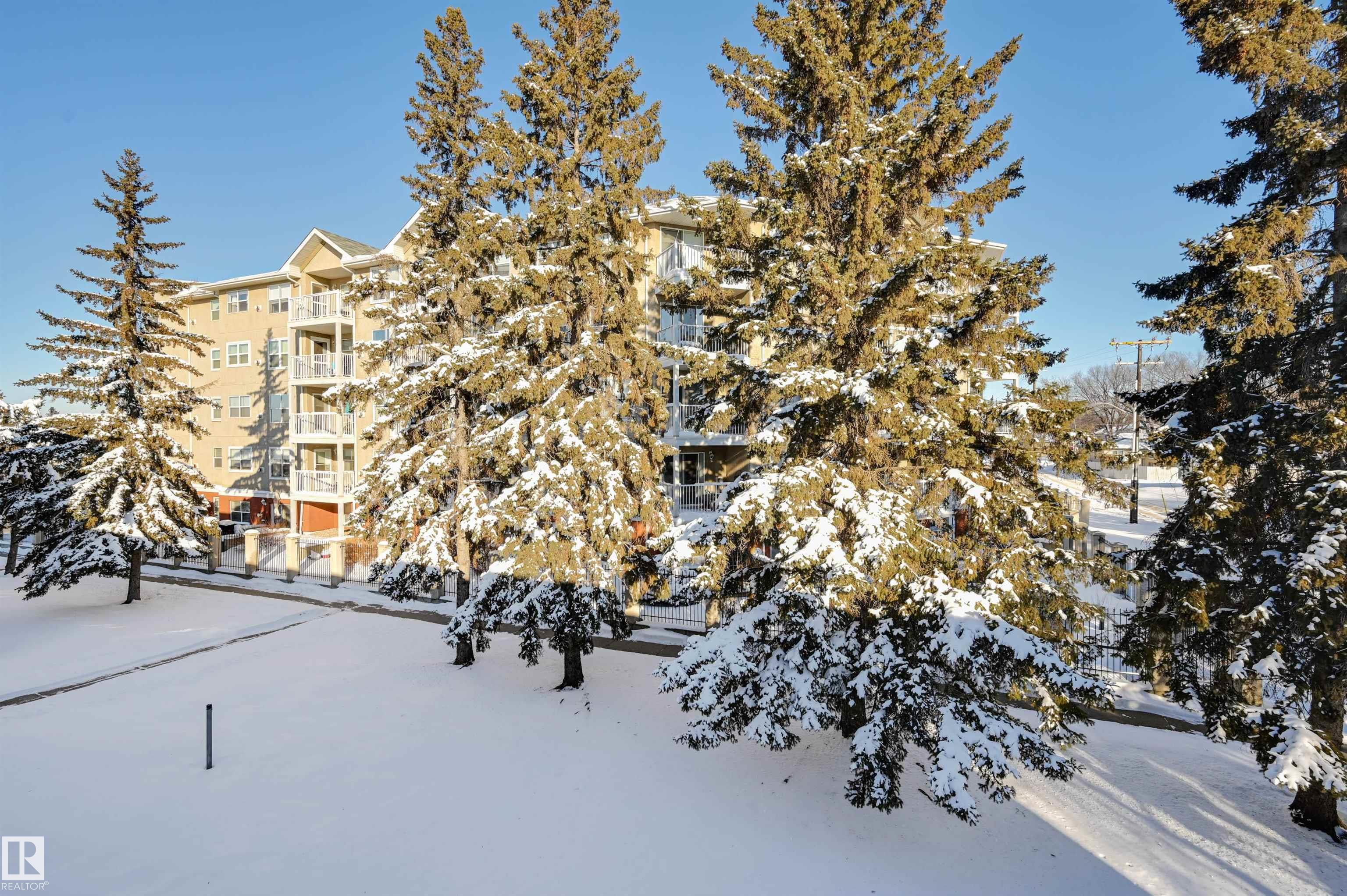 Photo 30 at 310 - 8215 83 Avenue NW, Idylwylde, Edmonton