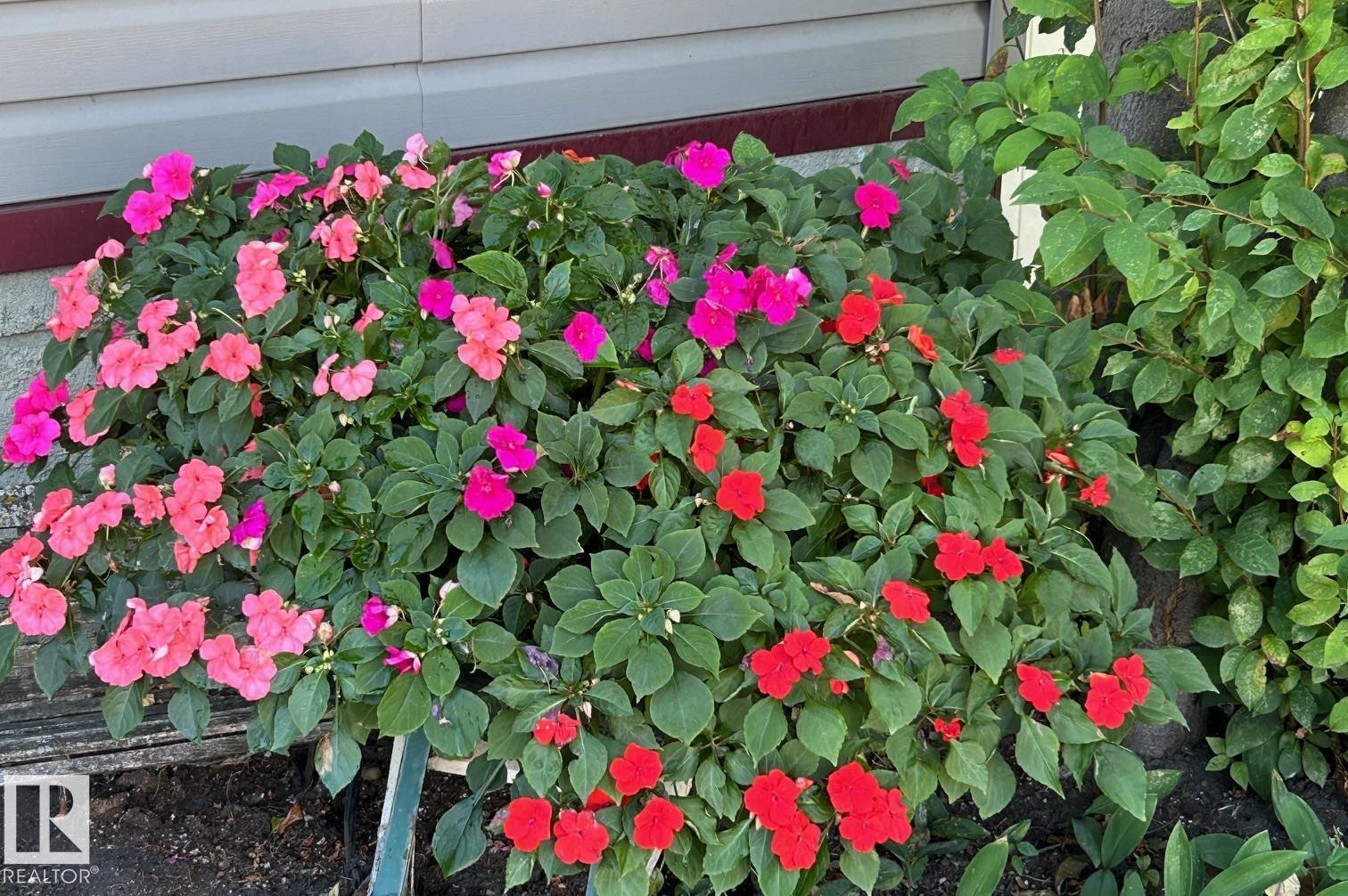 Photo 65 at 11123 50 Avenue NW, Malmo Plains, Edmonton