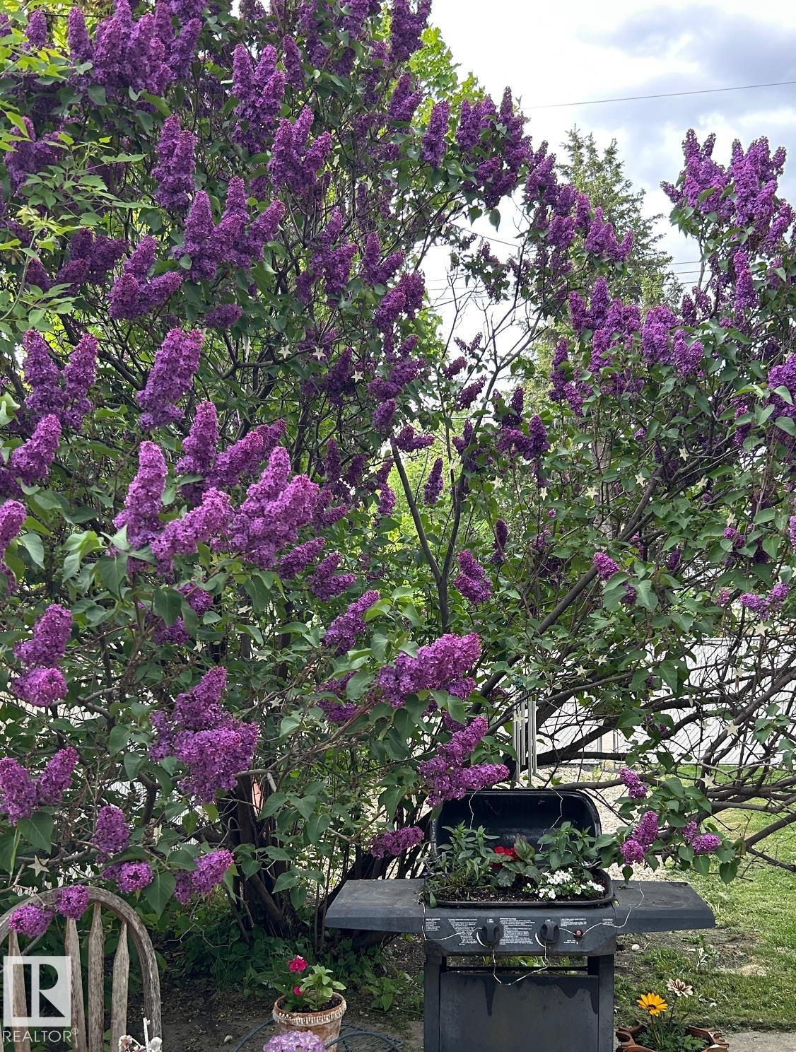 Photo 66 at 11123 50 Avenue NW, Malmo Plains, Edmonton