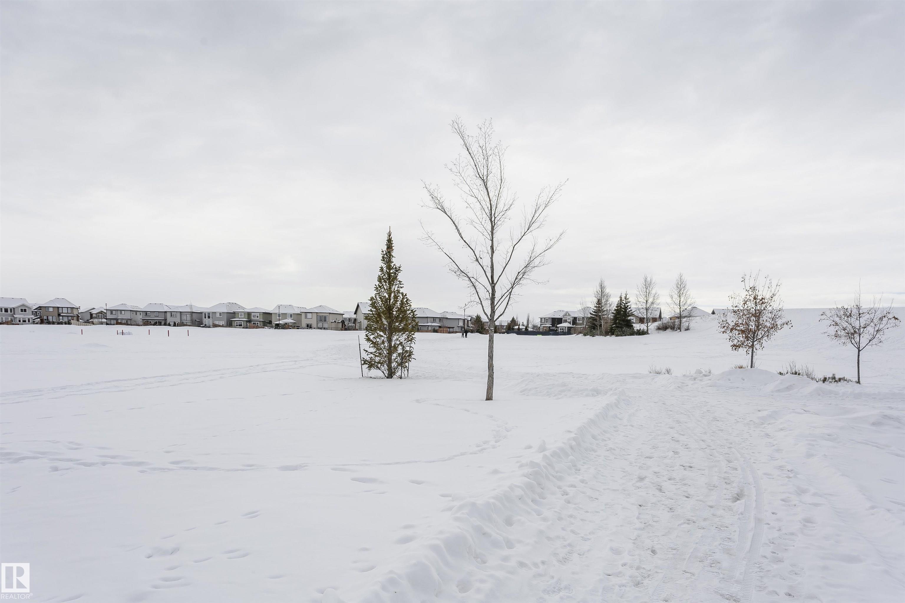 Photo 39 at 16420 15 Avenue SW, Glenridding Heights, Edmonton