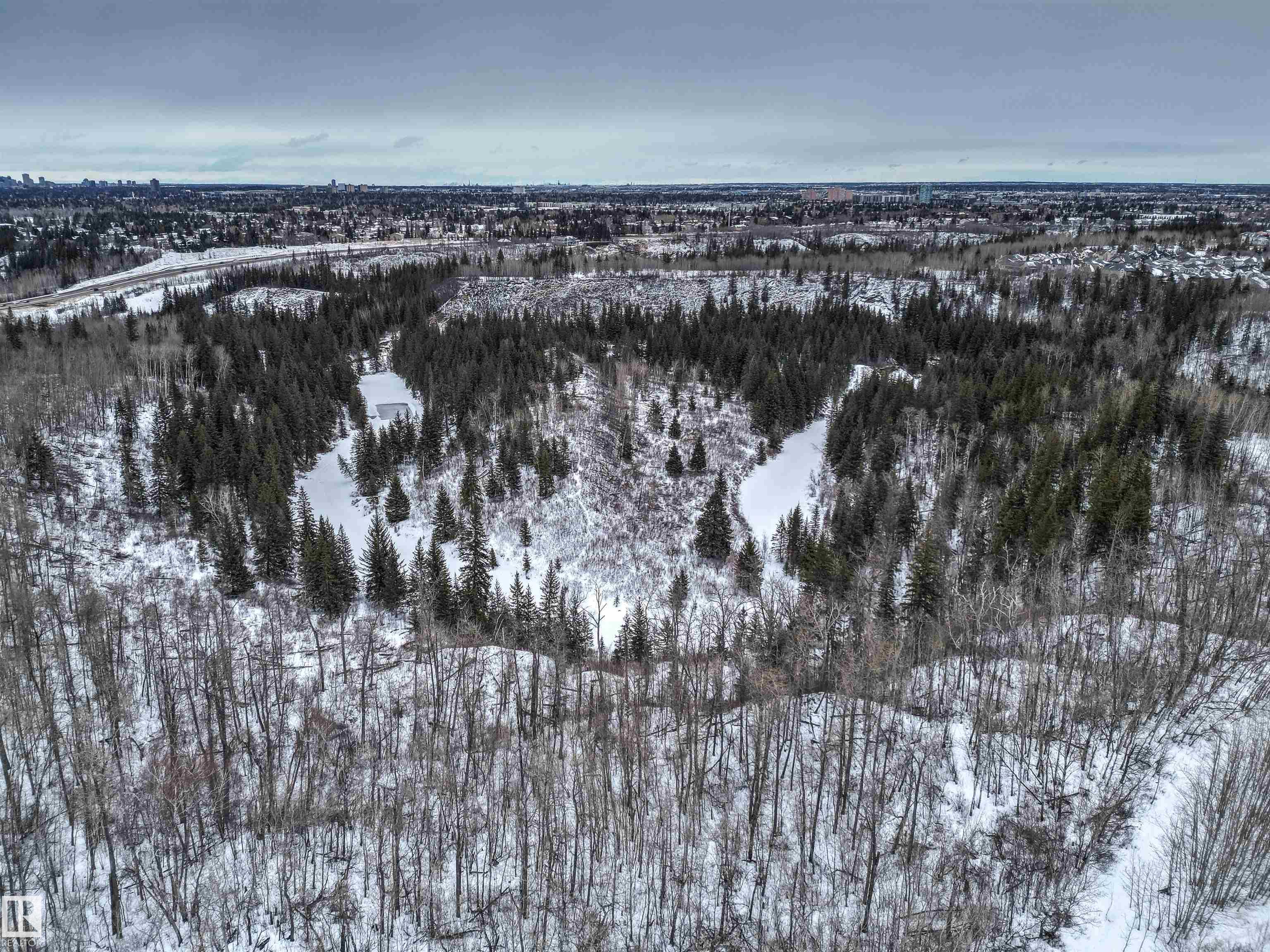 Photo 60 at 413 - 7463 May Common NW, Magrath Heights, Edmonton