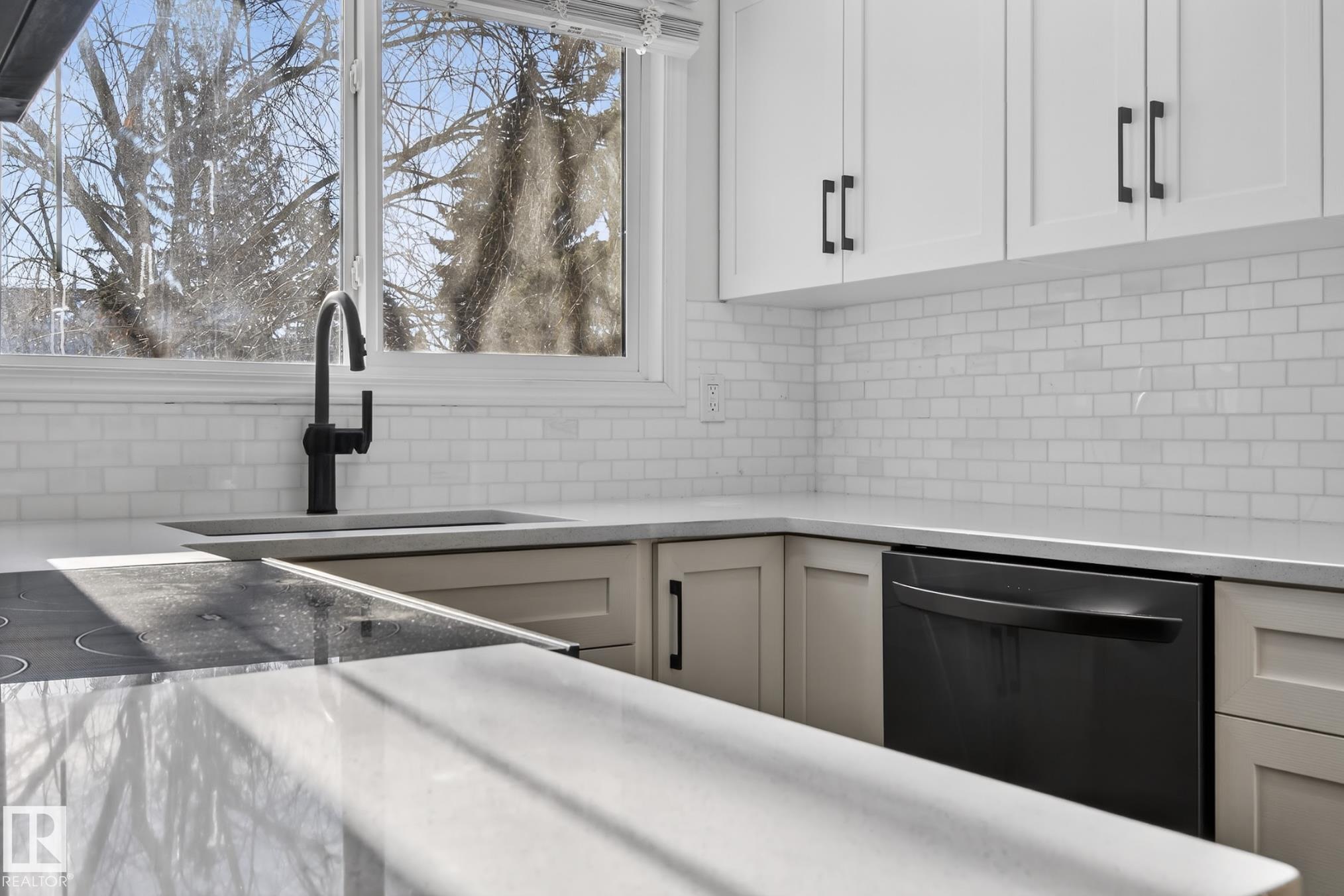 Photo 13 at 9969 171 Avenue NW, Baturyn, Edmonton