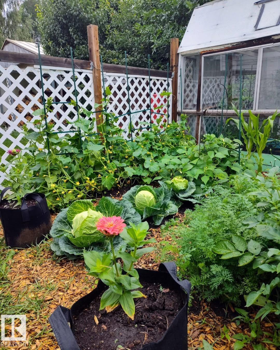 Photo 51 at 12231 47 Street NW, Bergman, Edmonton