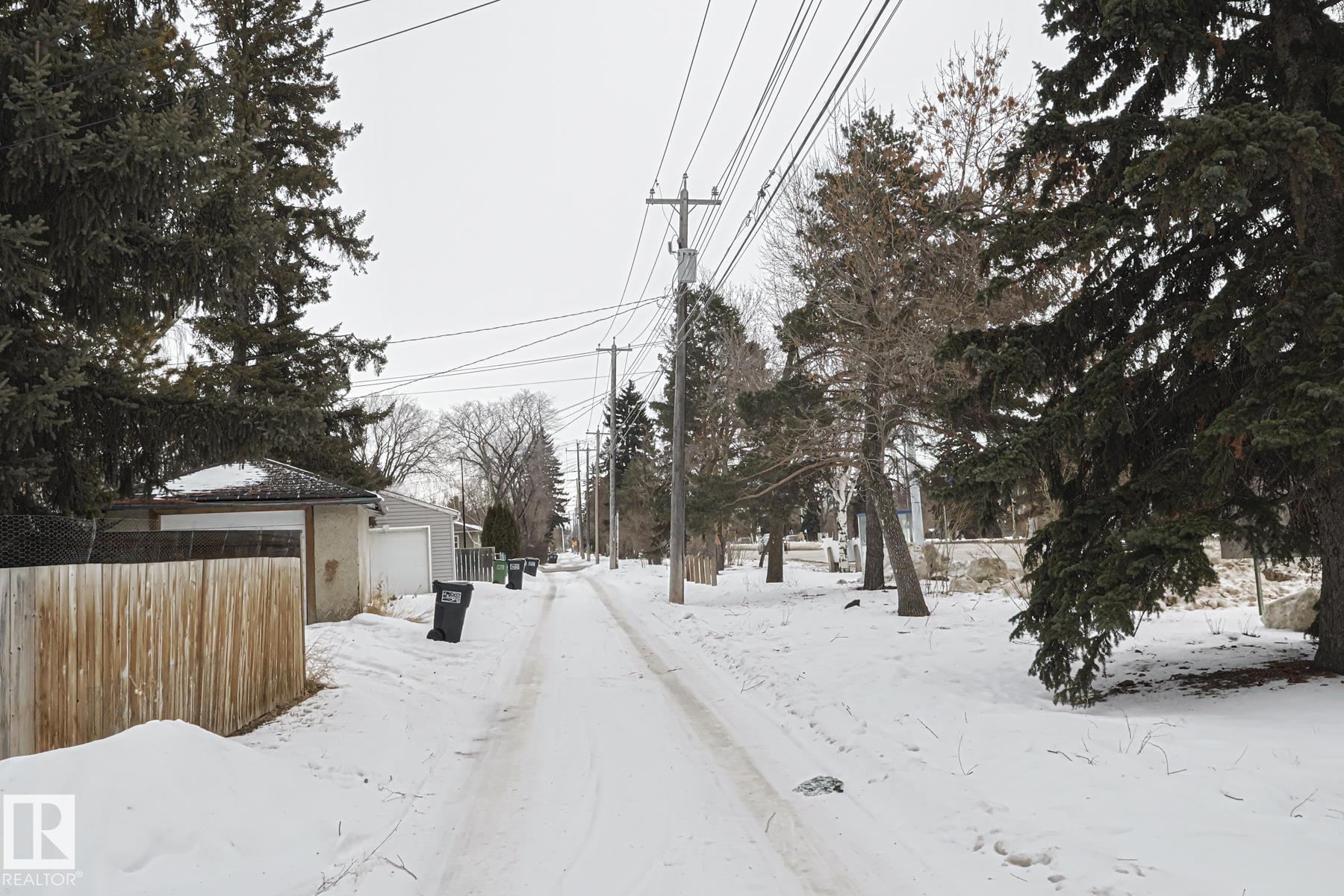 Photo 62 at 13519 107a Avenue NW, North Glenora, Edmonton