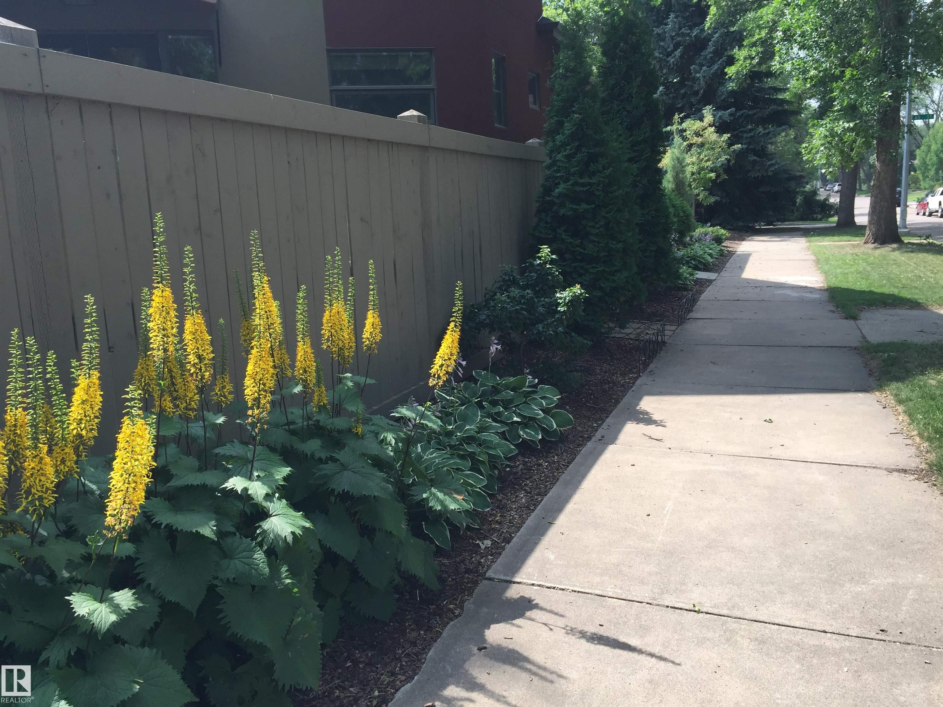 Photo 70 at 6428 Ada Boulevard NW, Highlands, Edmonton