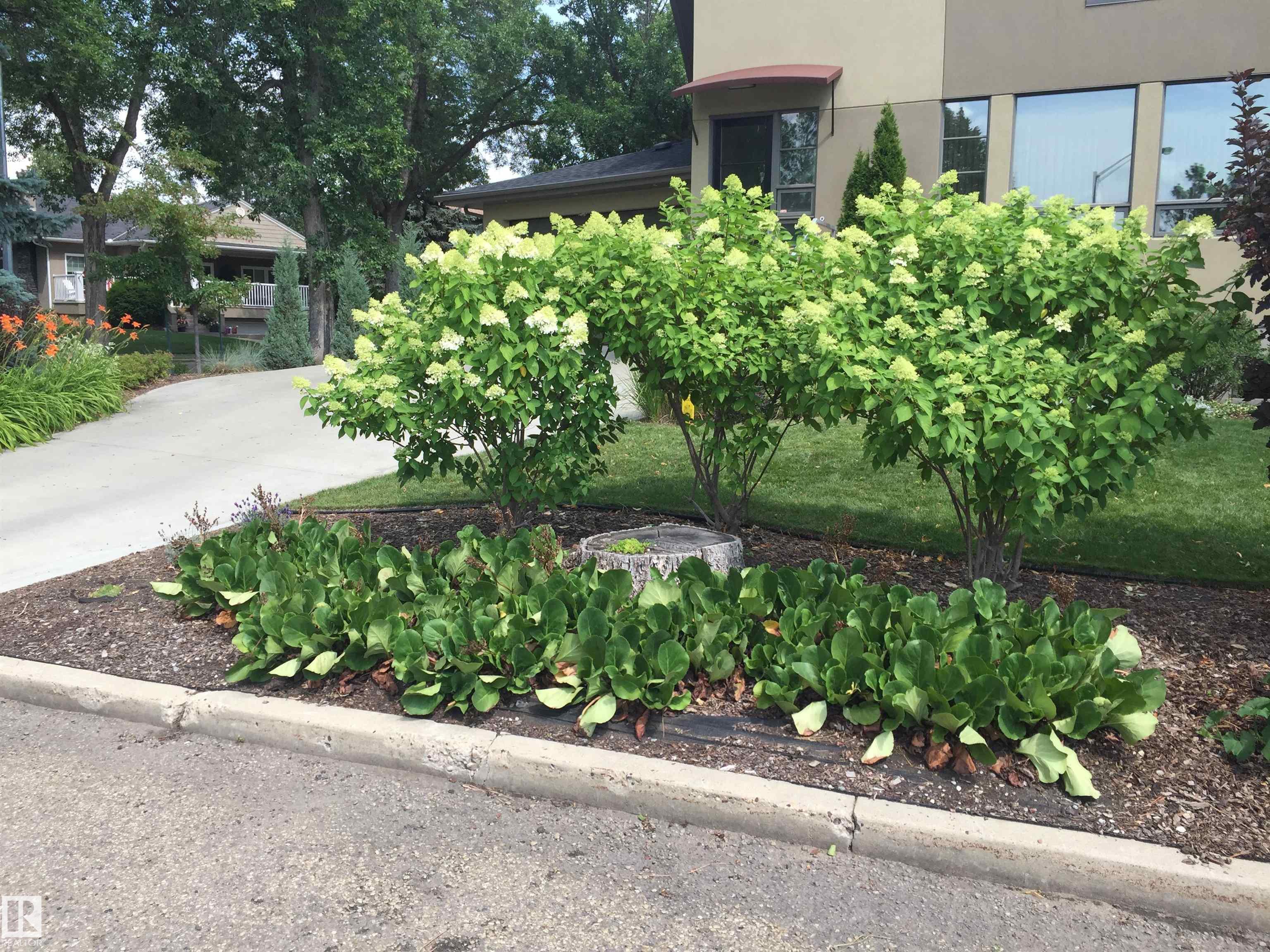 Photo 71 at 6428 Ada Boulevard NW, Highlands, Edmonton